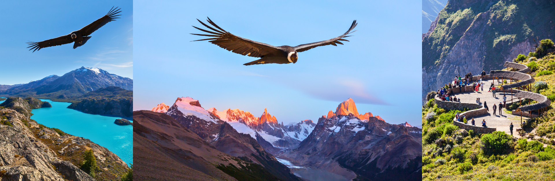 an abstract photo of a curved building with a blue sky in the background