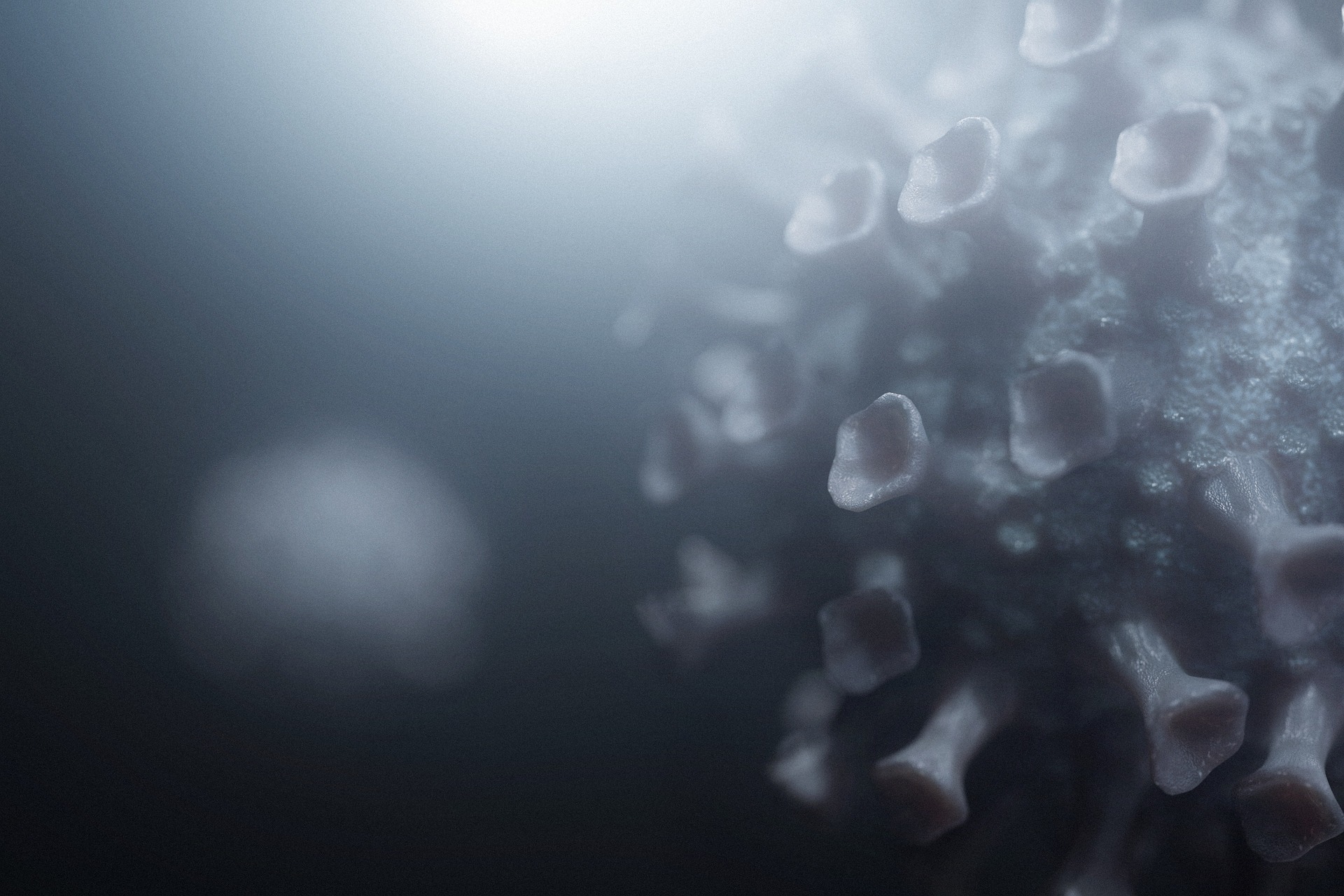 an abstract photo of a curved building with a blue sky in the background