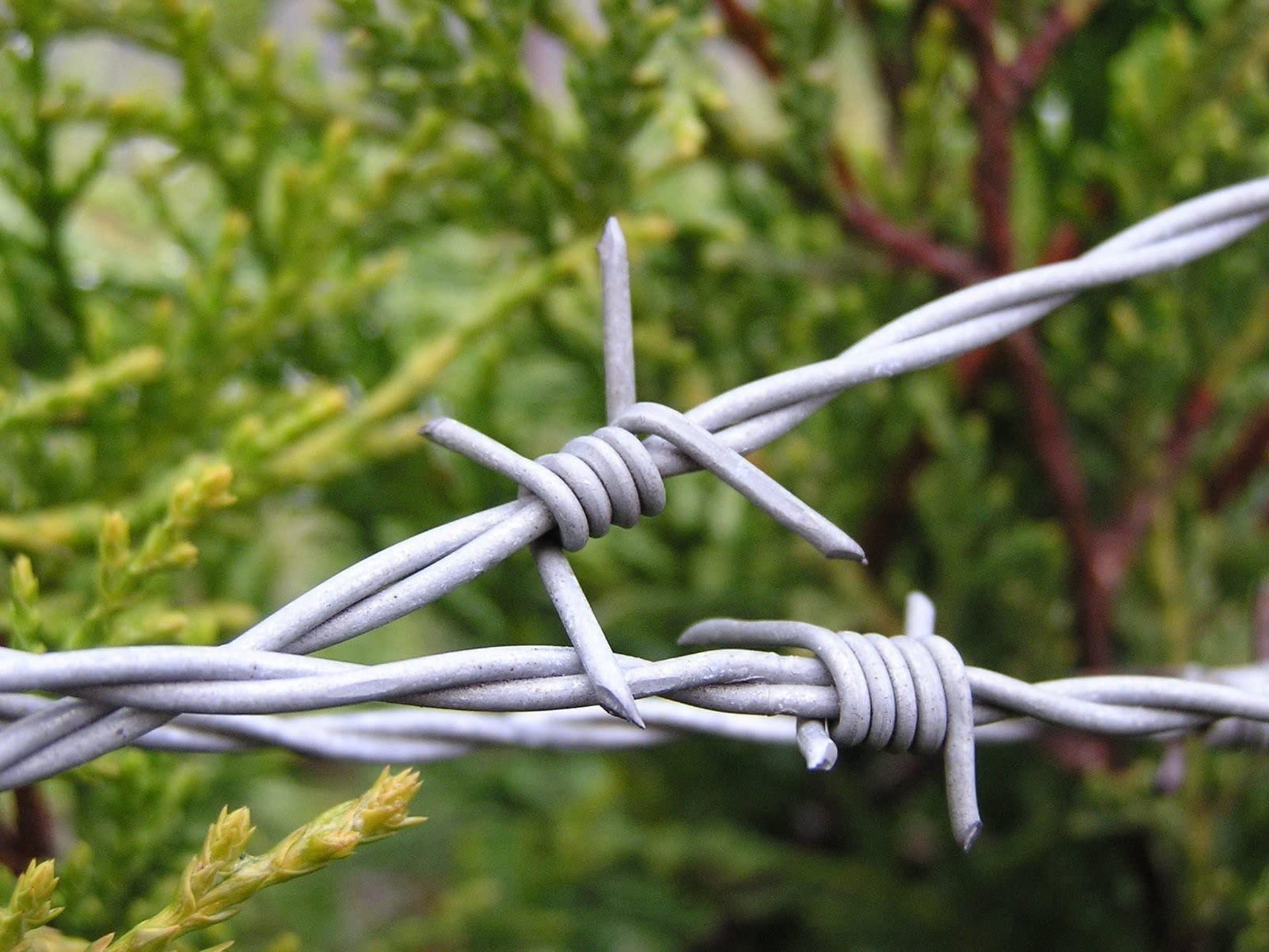 stainless steel spiral bulb wire