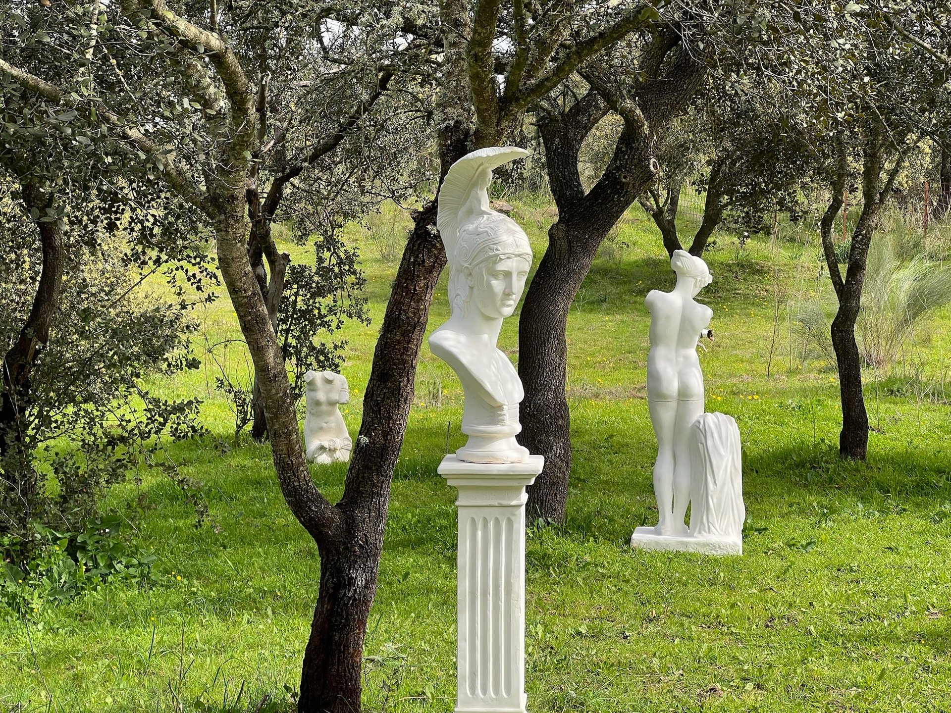 black and white bed linen