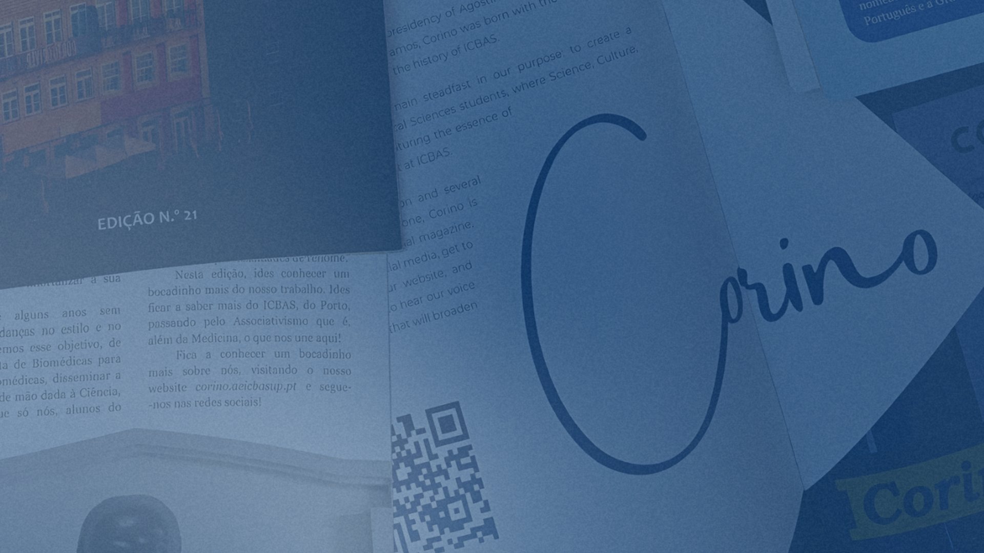 books on the shelf photograph