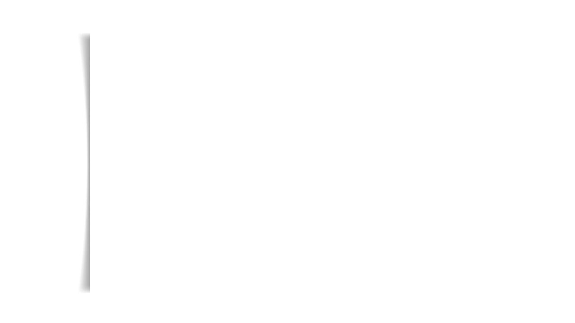 FUNDO BRANCO.