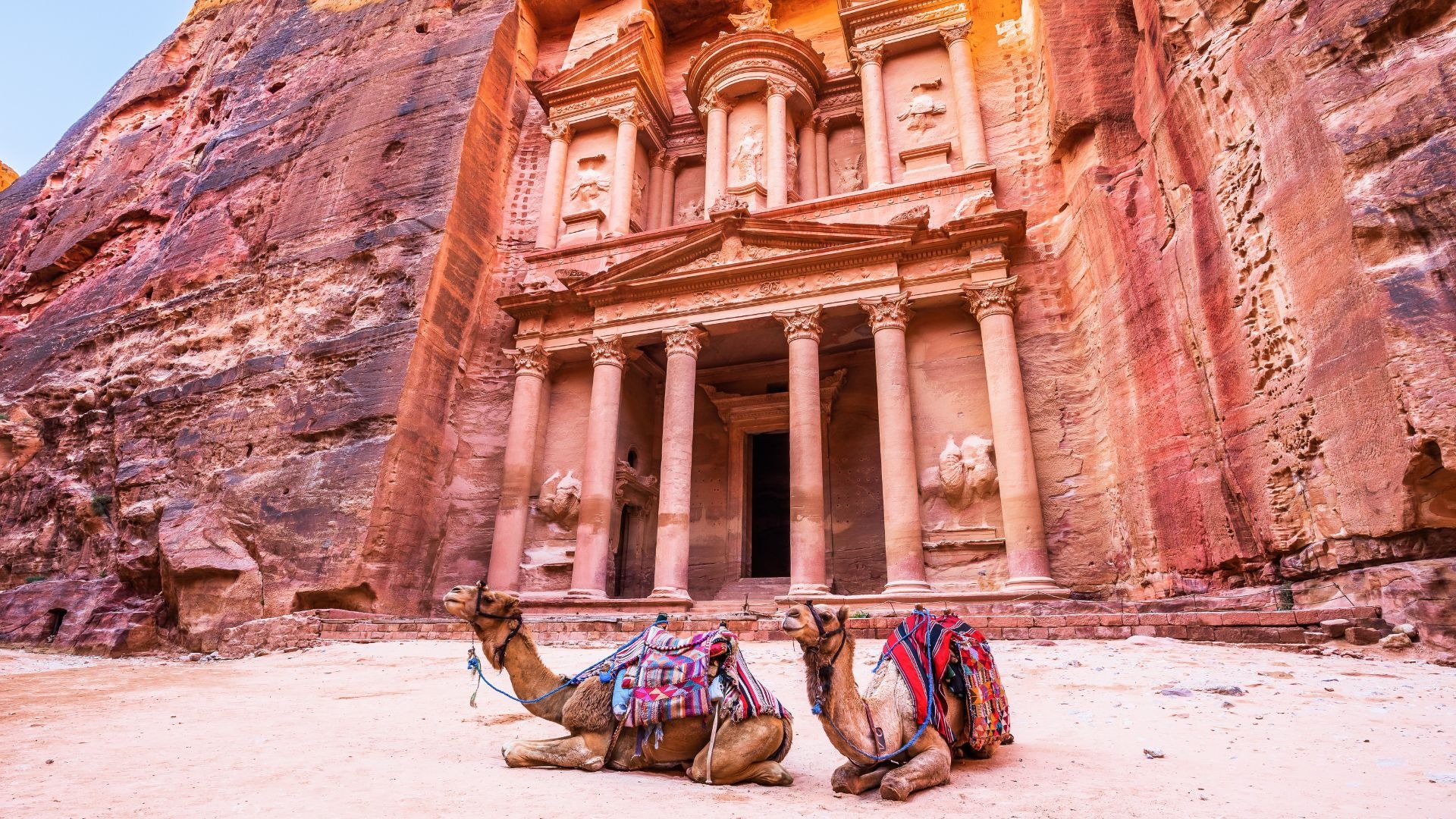 camelos em Petra.