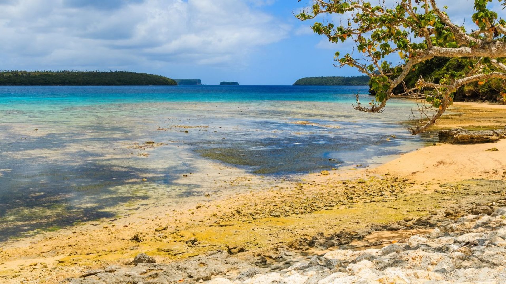 Vista da linda praia com algas amarelas em Tonga.