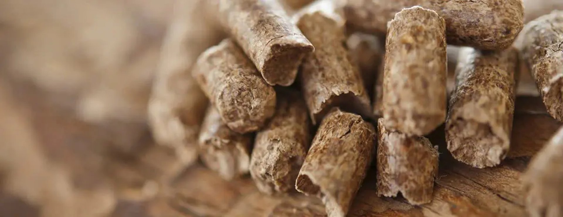 red and yellow fire illustration