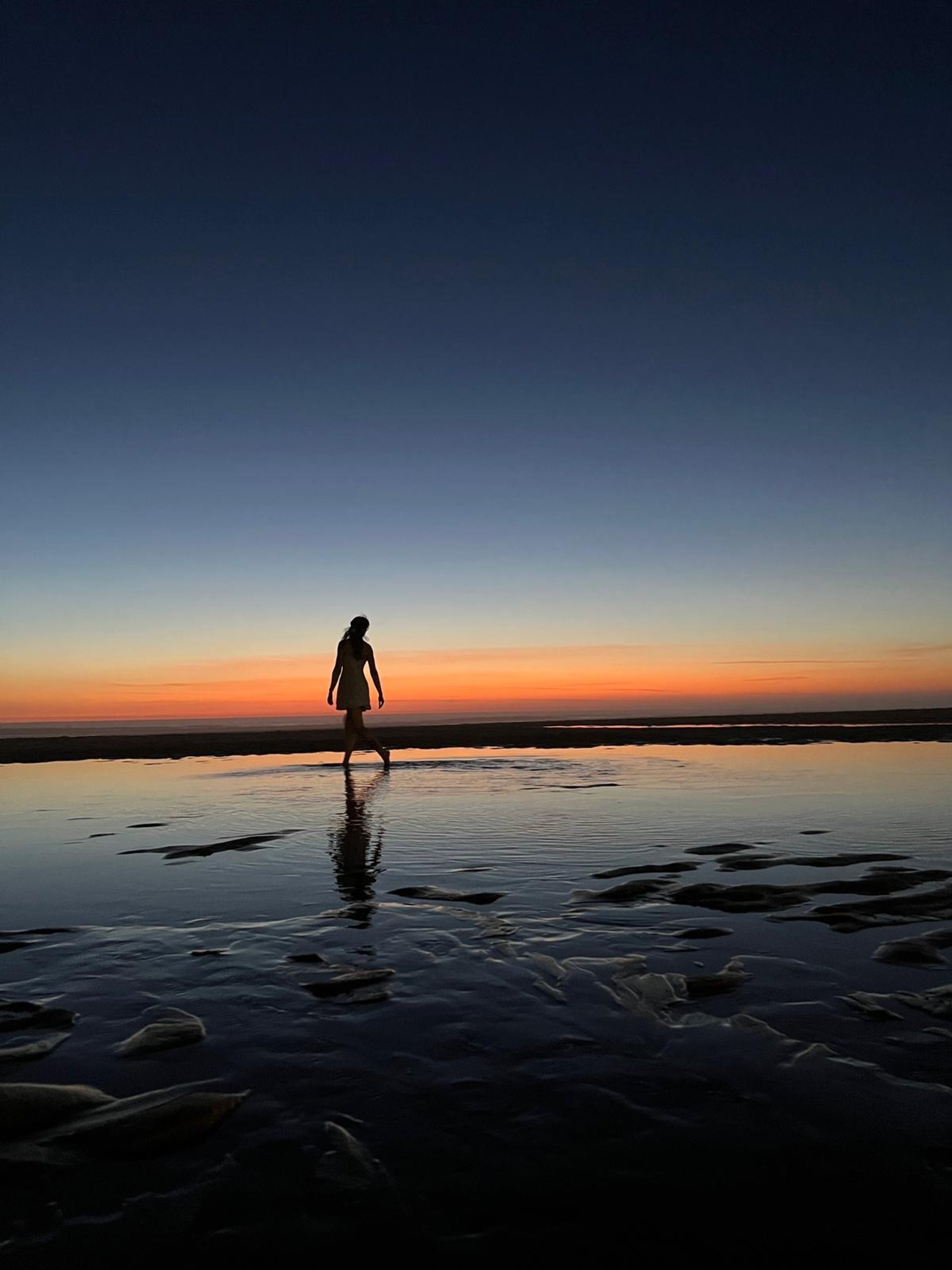 brown wooden dock with island and body of water