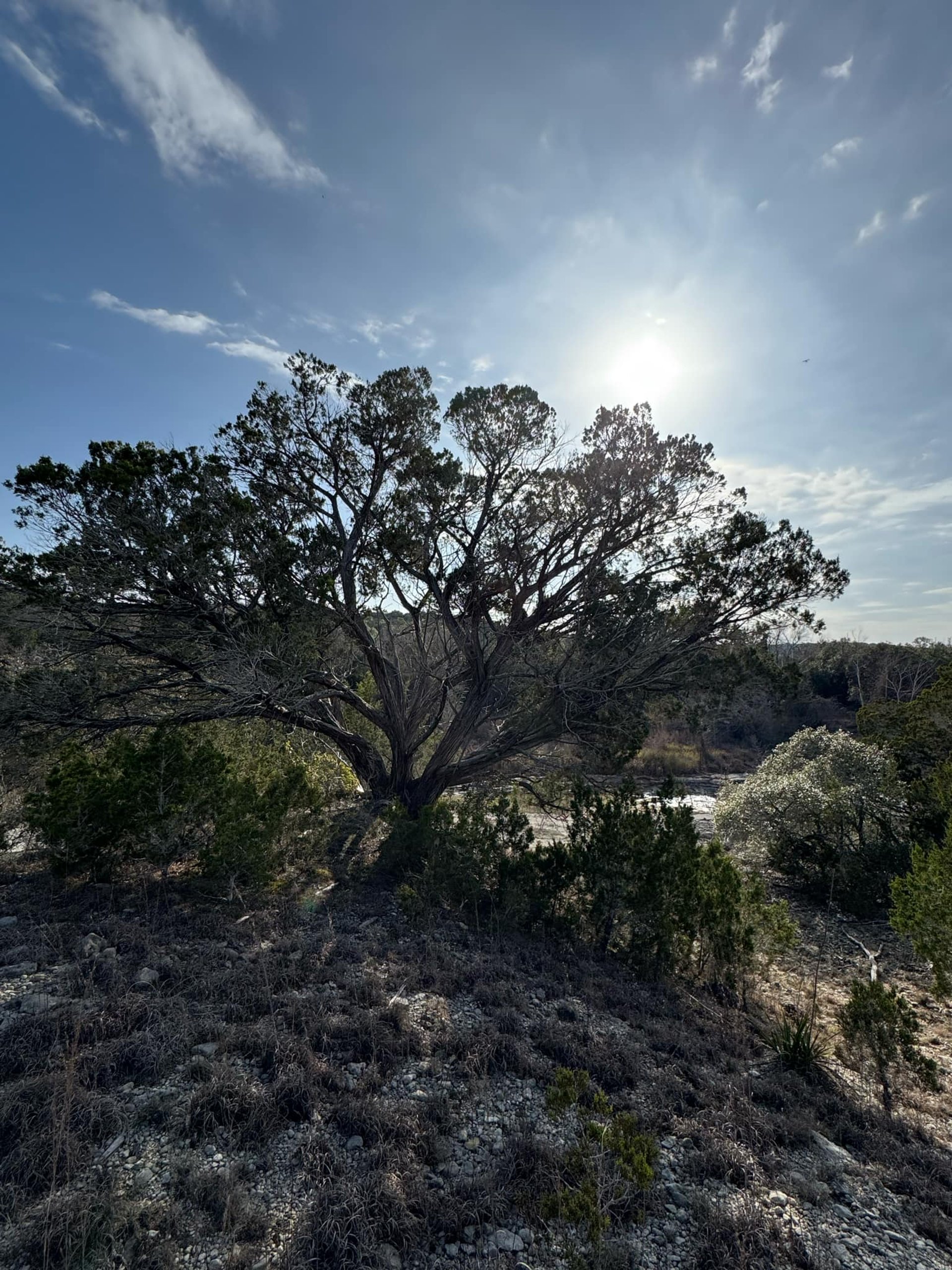 woman wearing yellow long-sleeved dress under white clouds and blue sky during daytime