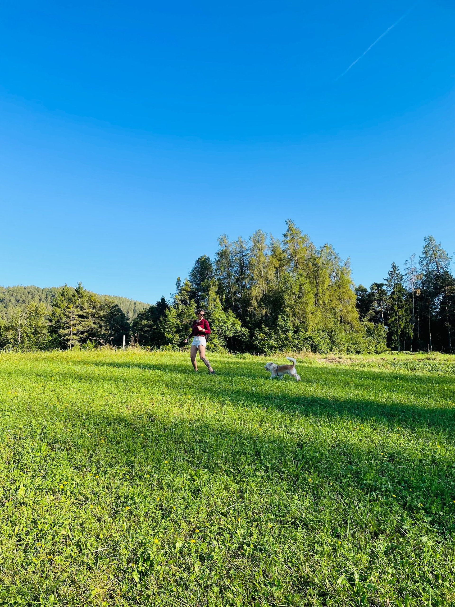 an abstract photo of a curved building with a blue sky in the background