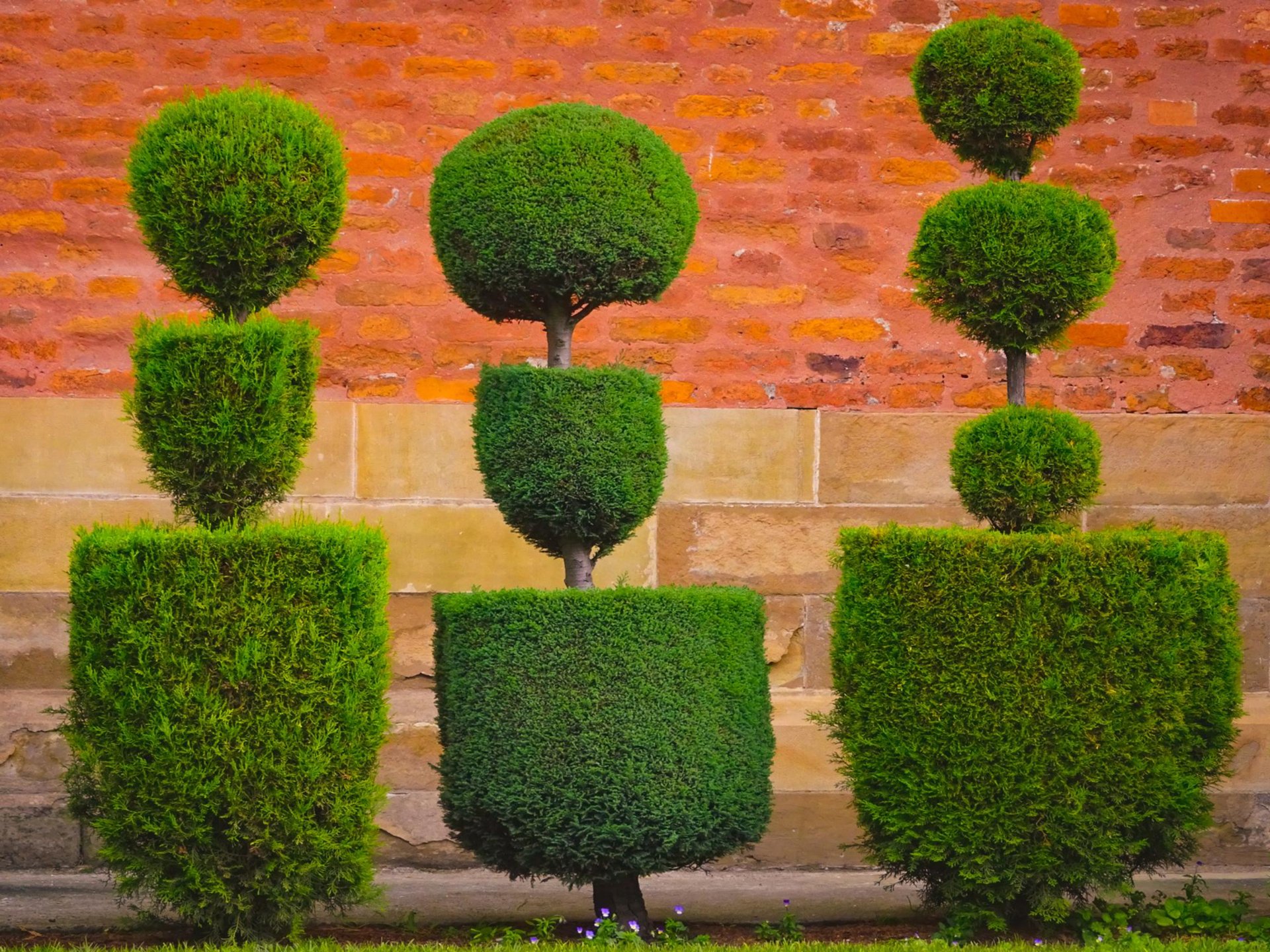 black blue and yellow textile