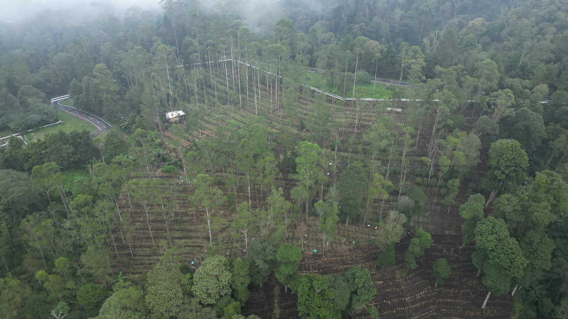 black and white bed linen