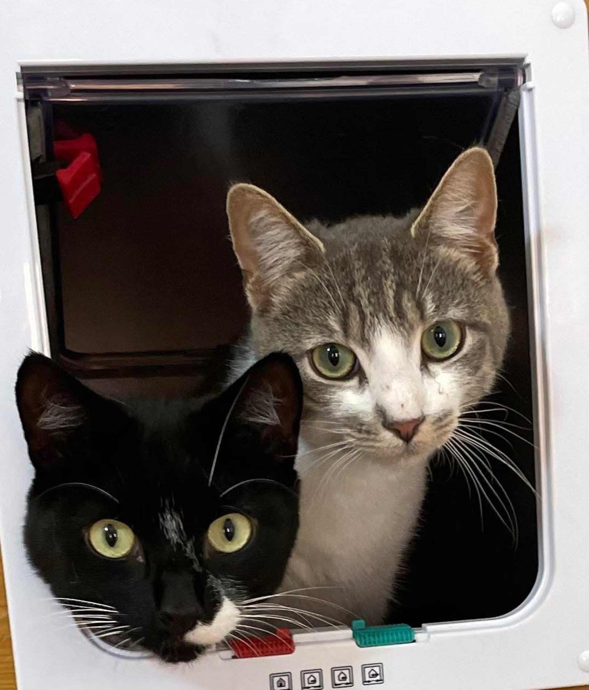 gray computer monitor