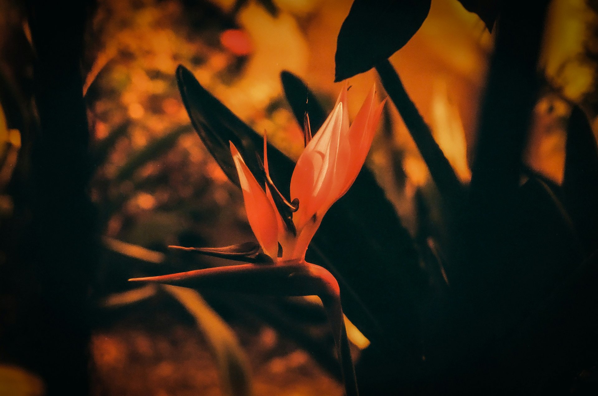 a piece of paper with torn edges on a green background