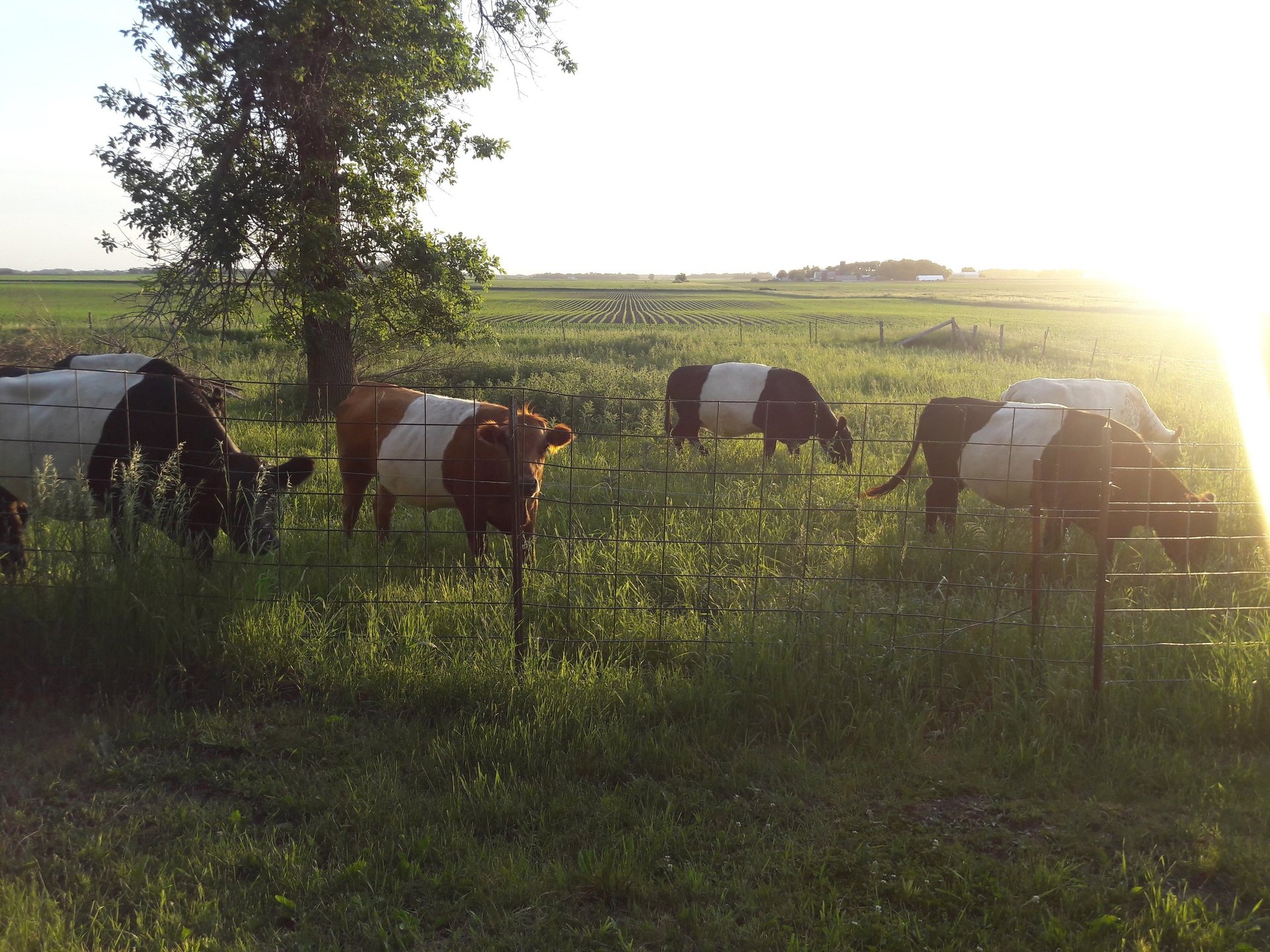 black blue and yellow textile