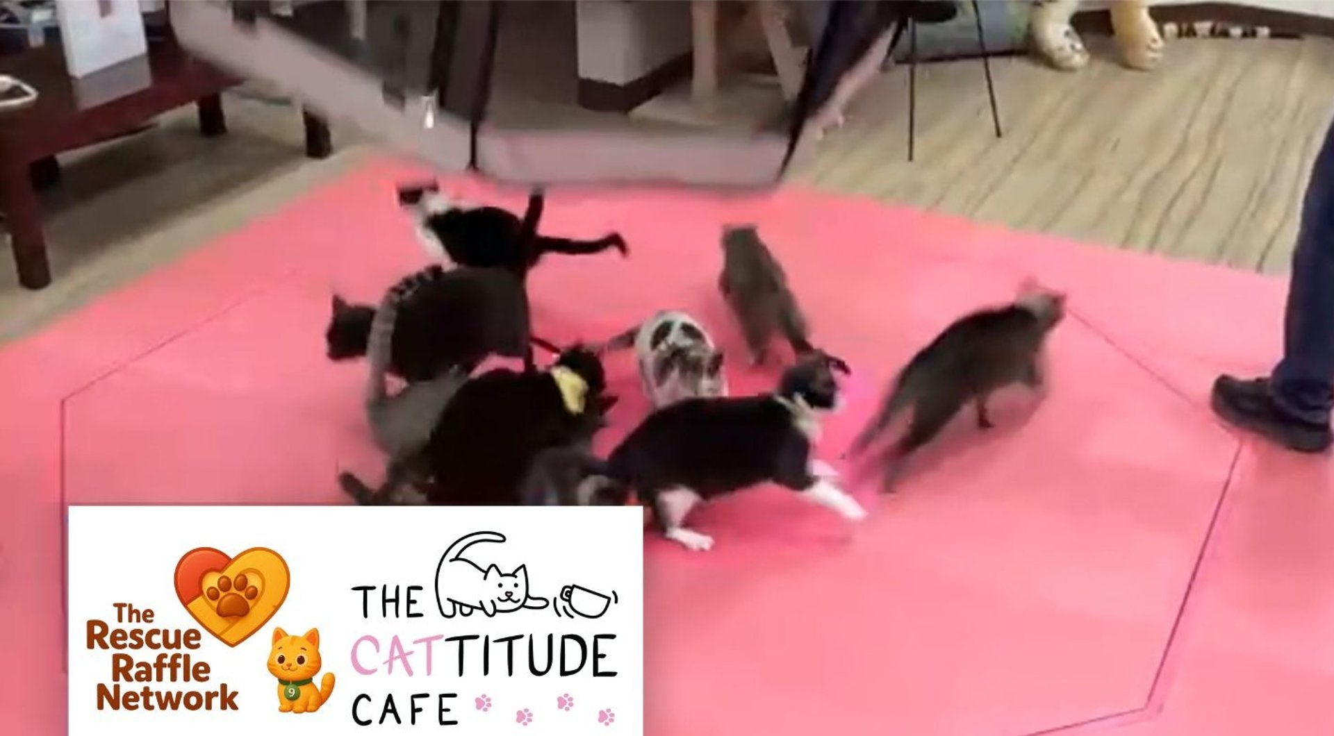 black blue and yellow textile