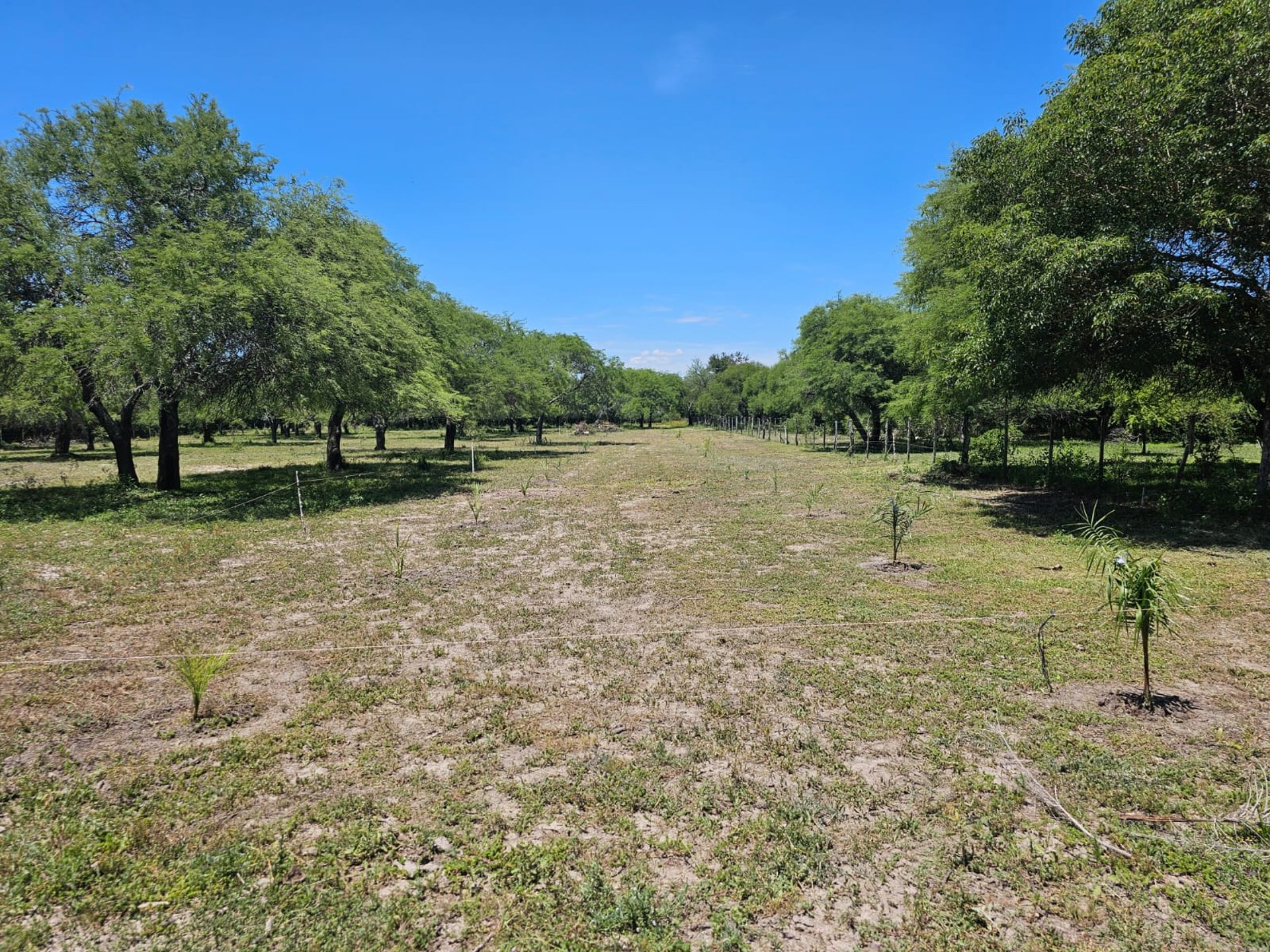 black and brown leather padded tub sofa