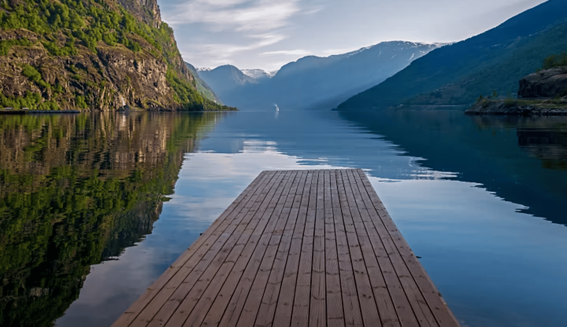 brown wooden dock in the middle of forest