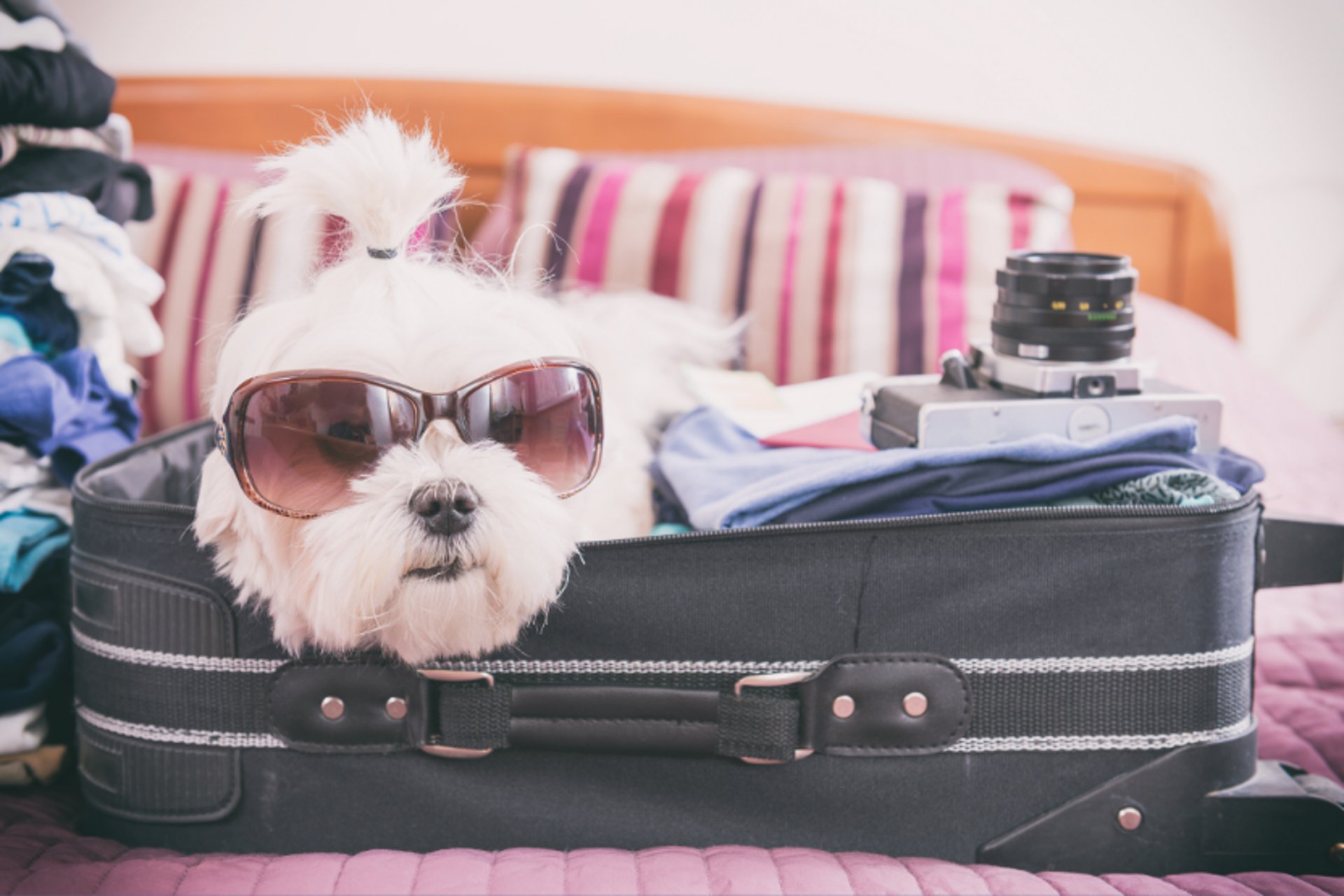 black and white bed linen