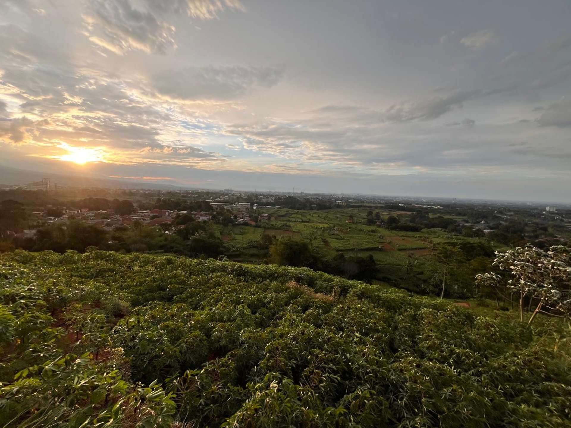 woman in blue and white shirt