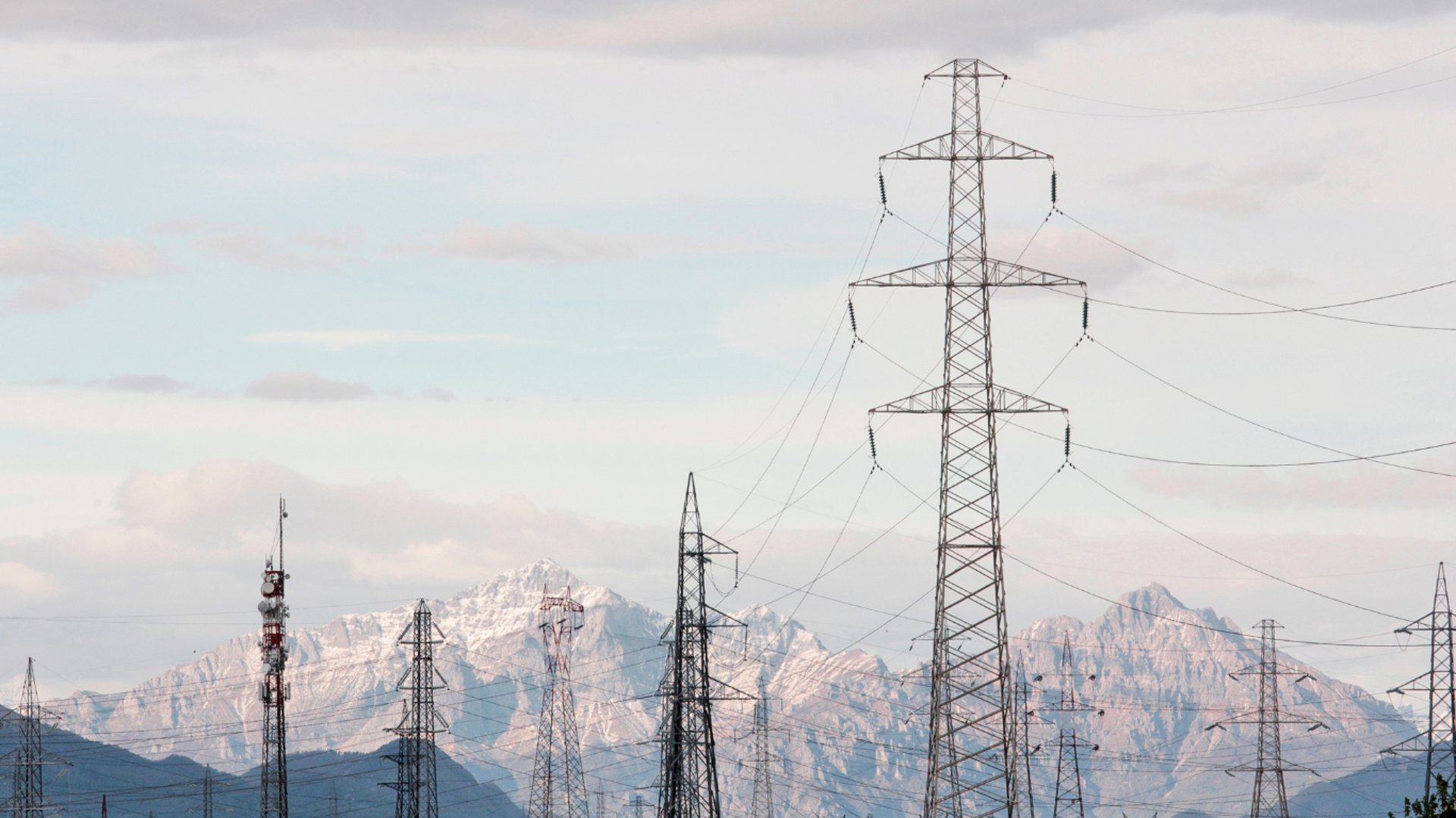 woman holding dried flower
