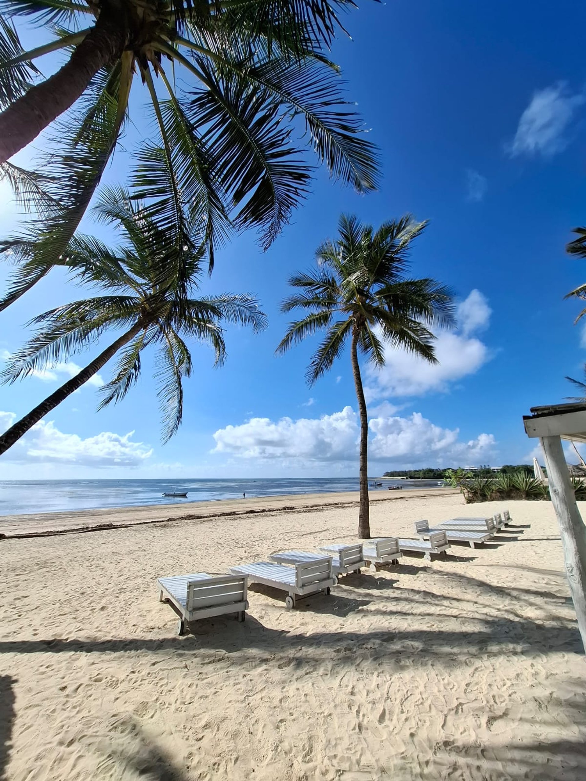 black and white bed linen