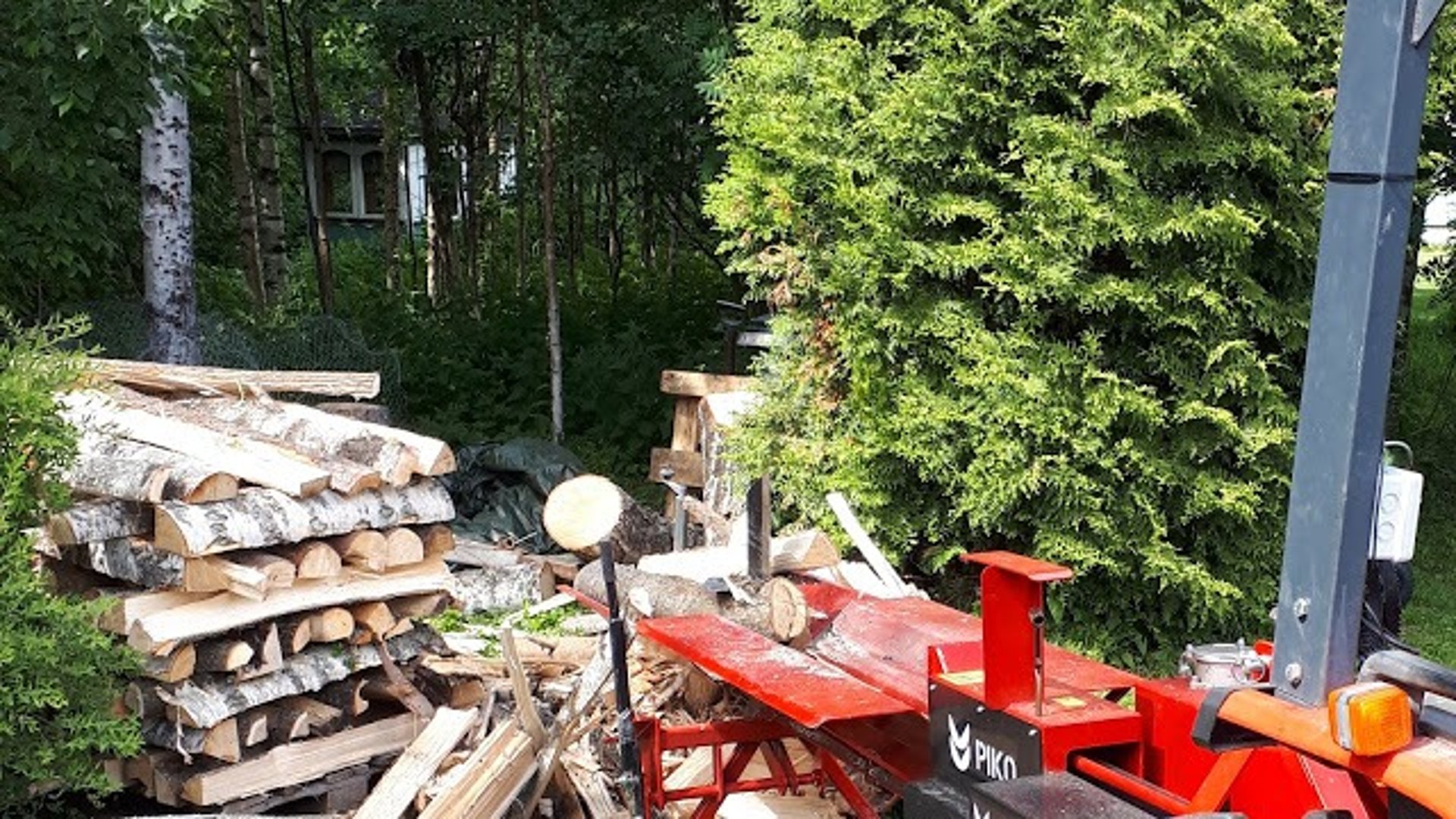 top view photography of tree log lot