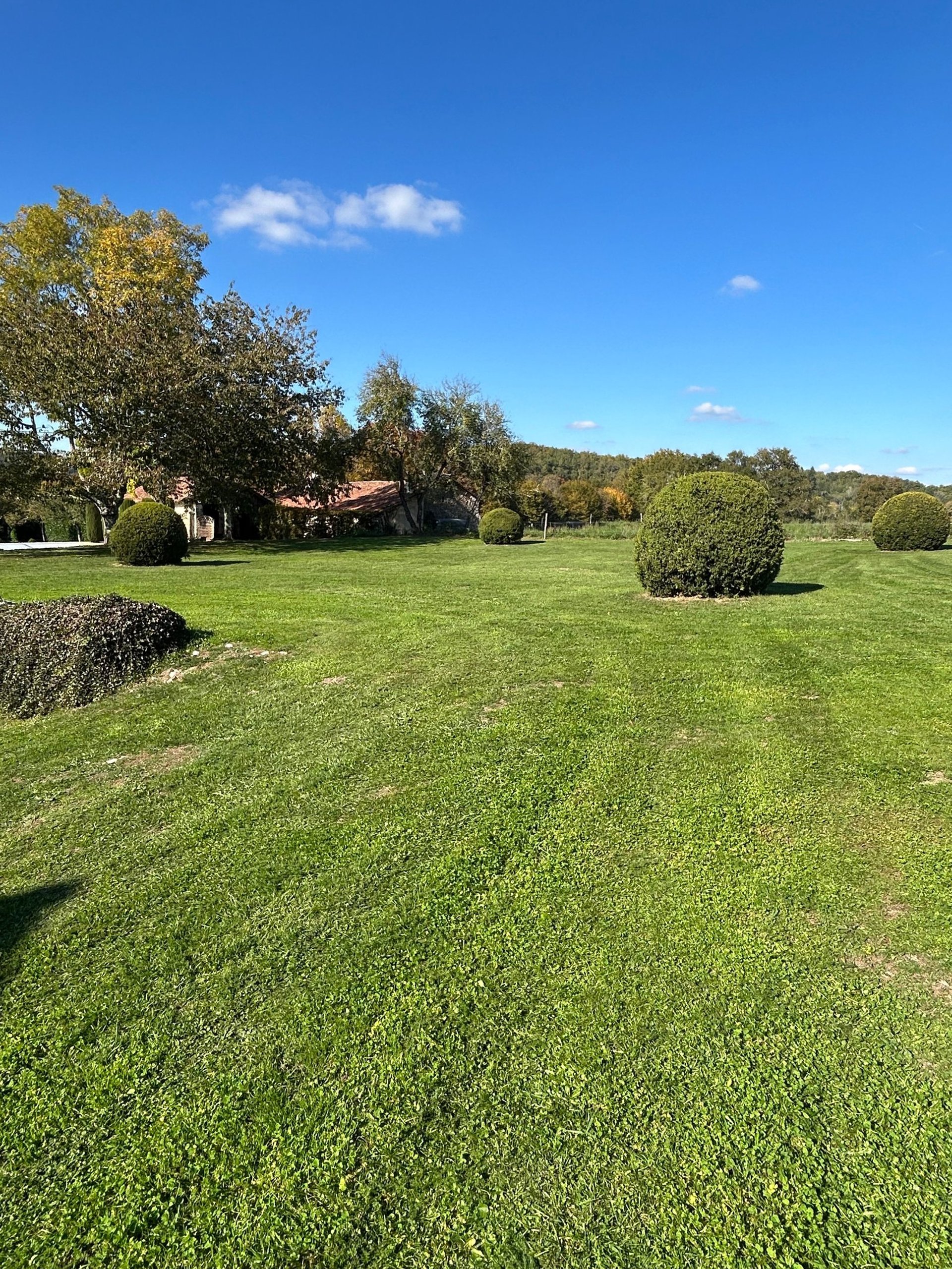 gray computer monitor
