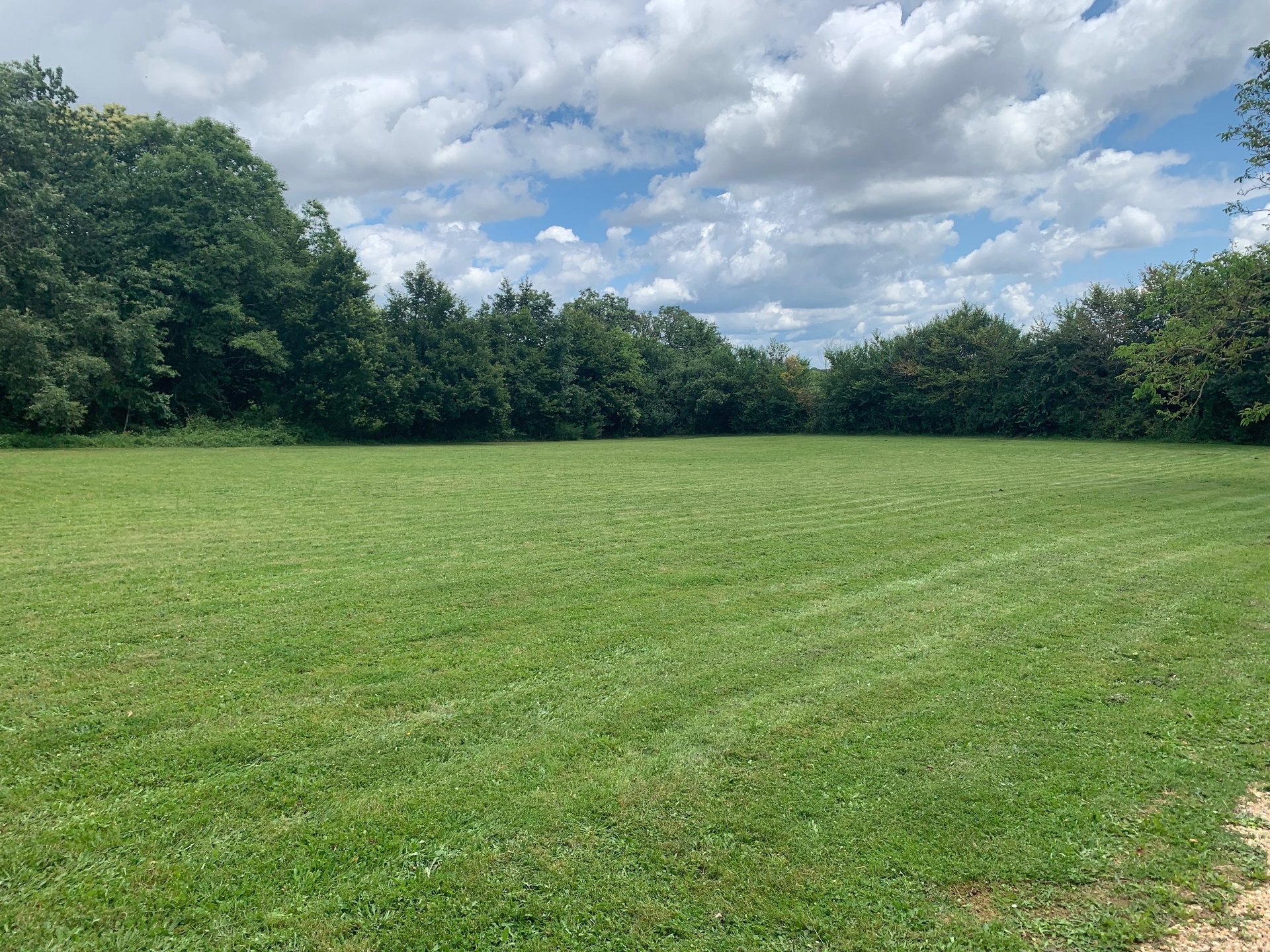 black and brown leather padded tub sofa