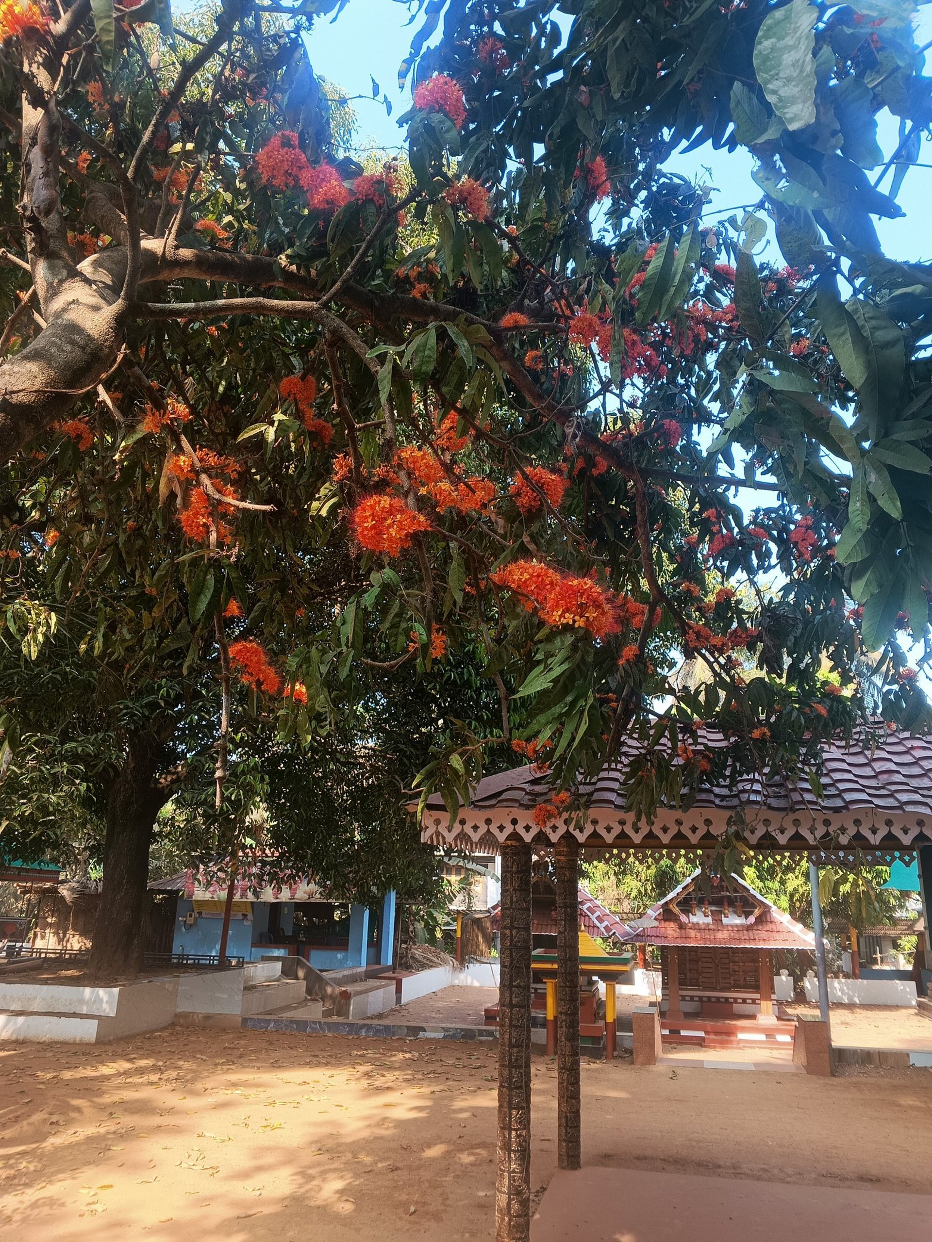 black and brown leather padded tub sofa