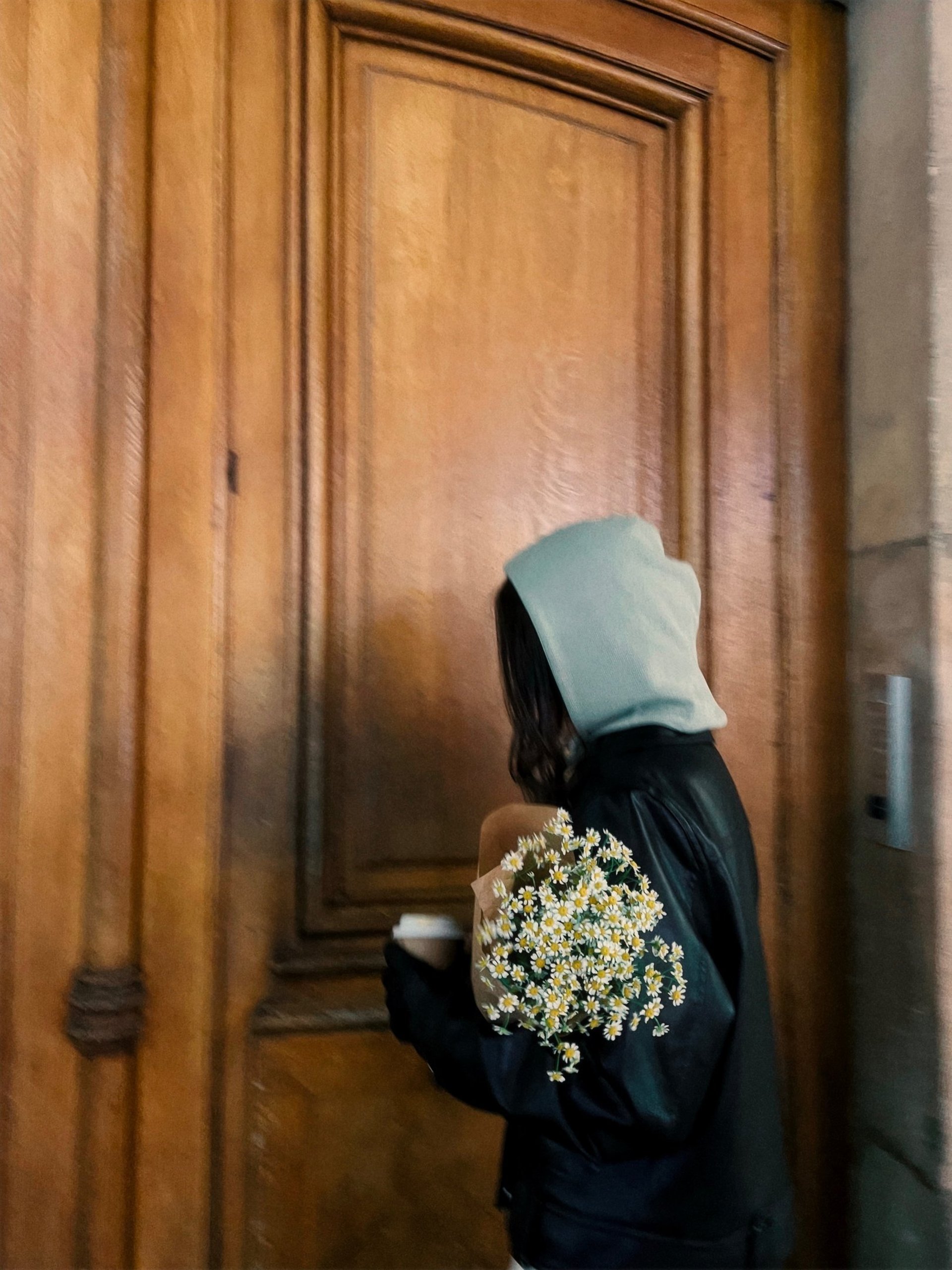 a shadow of a plant on a curtain