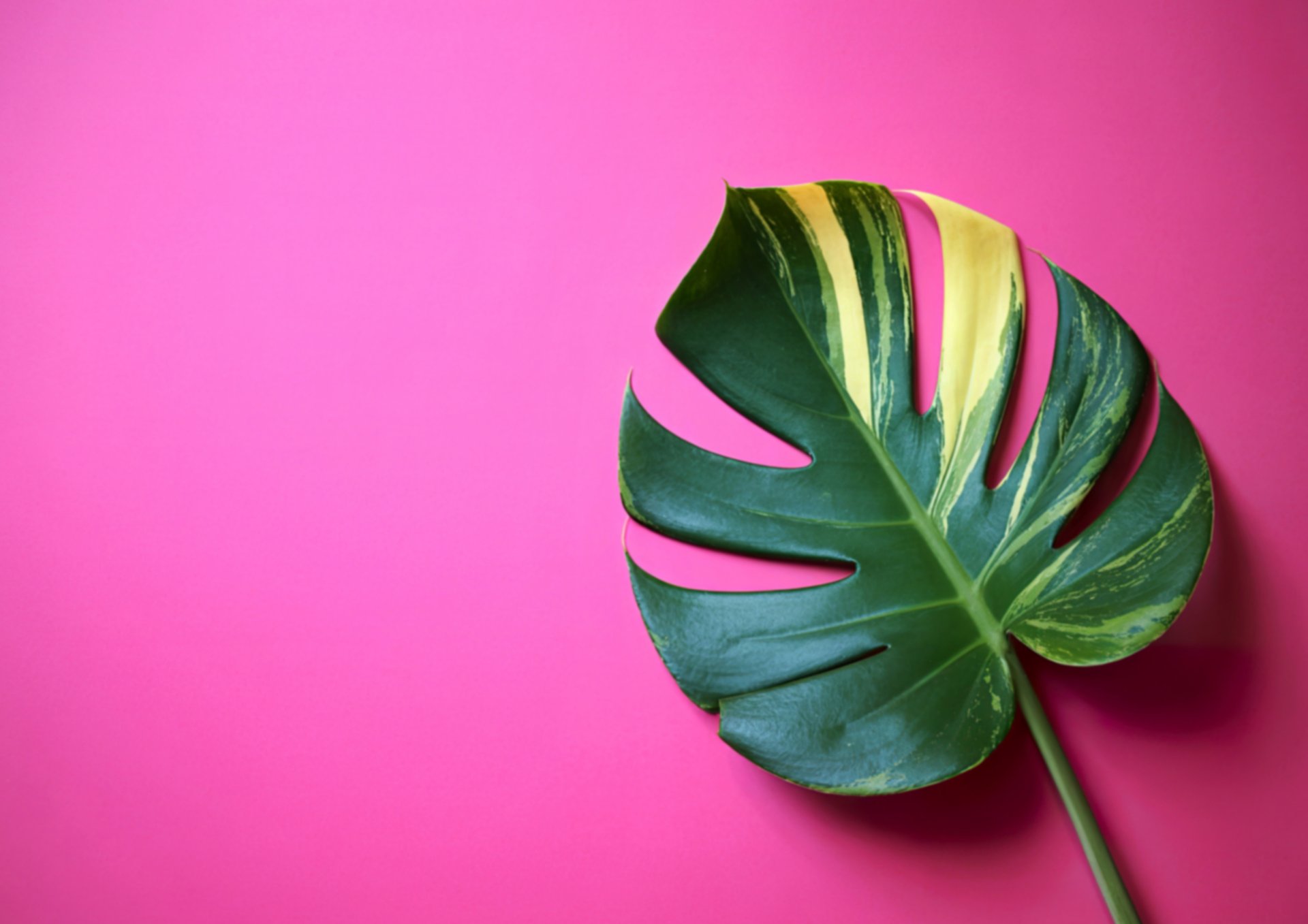 a person holding another person's hand in a hospital bed