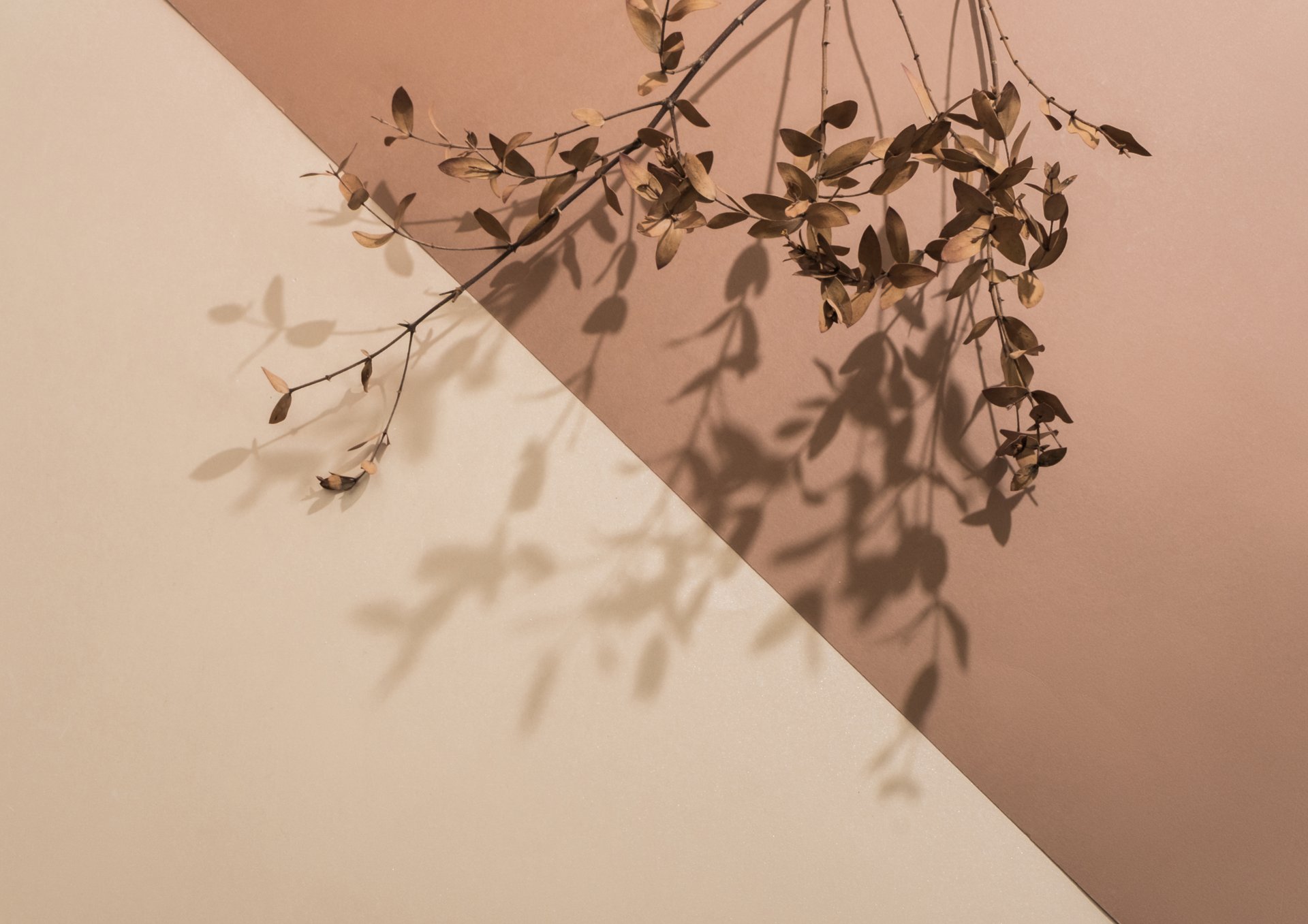 a person holding another person's hand in a hospital bed