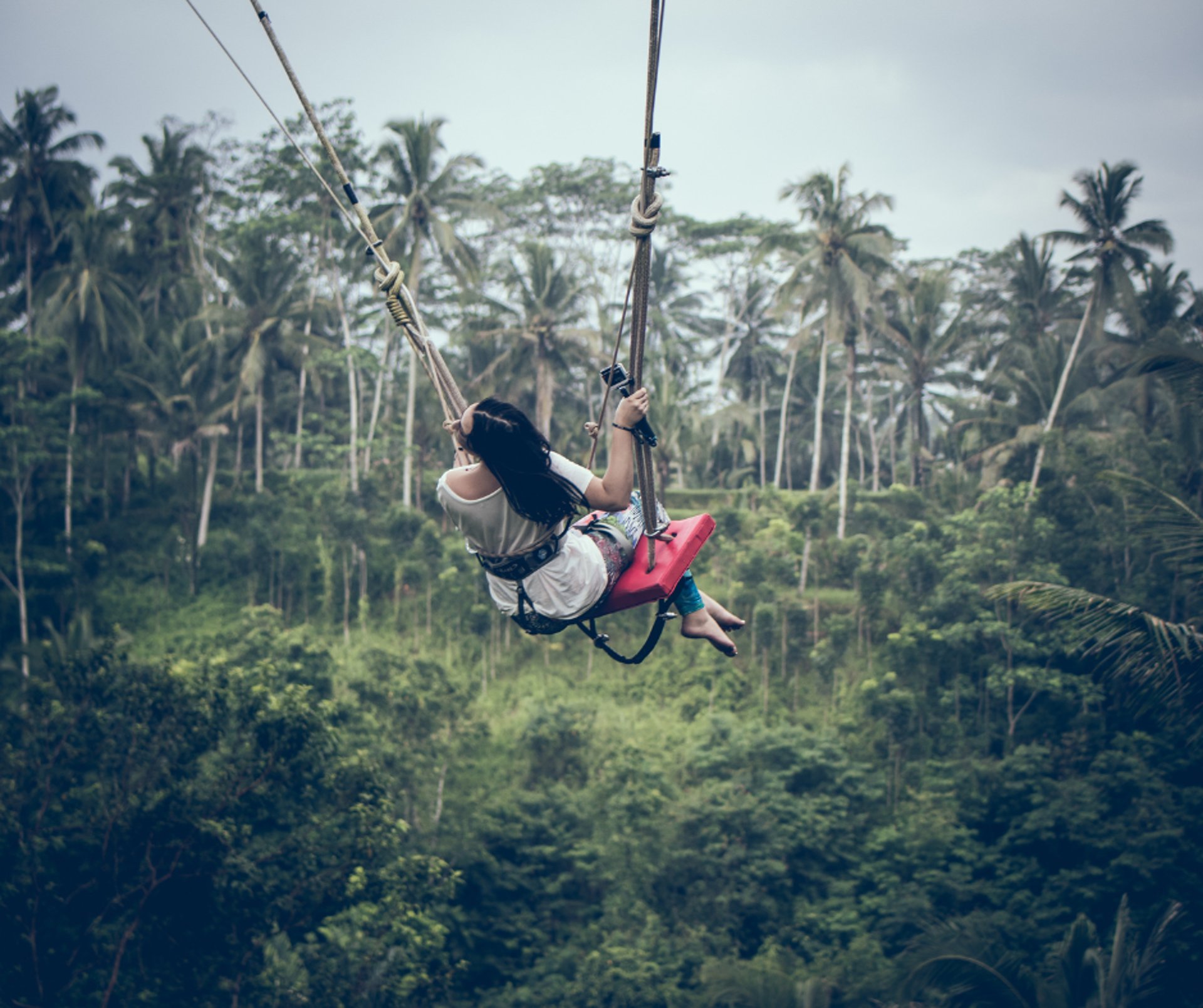 a red scarf hanging from a palm tree