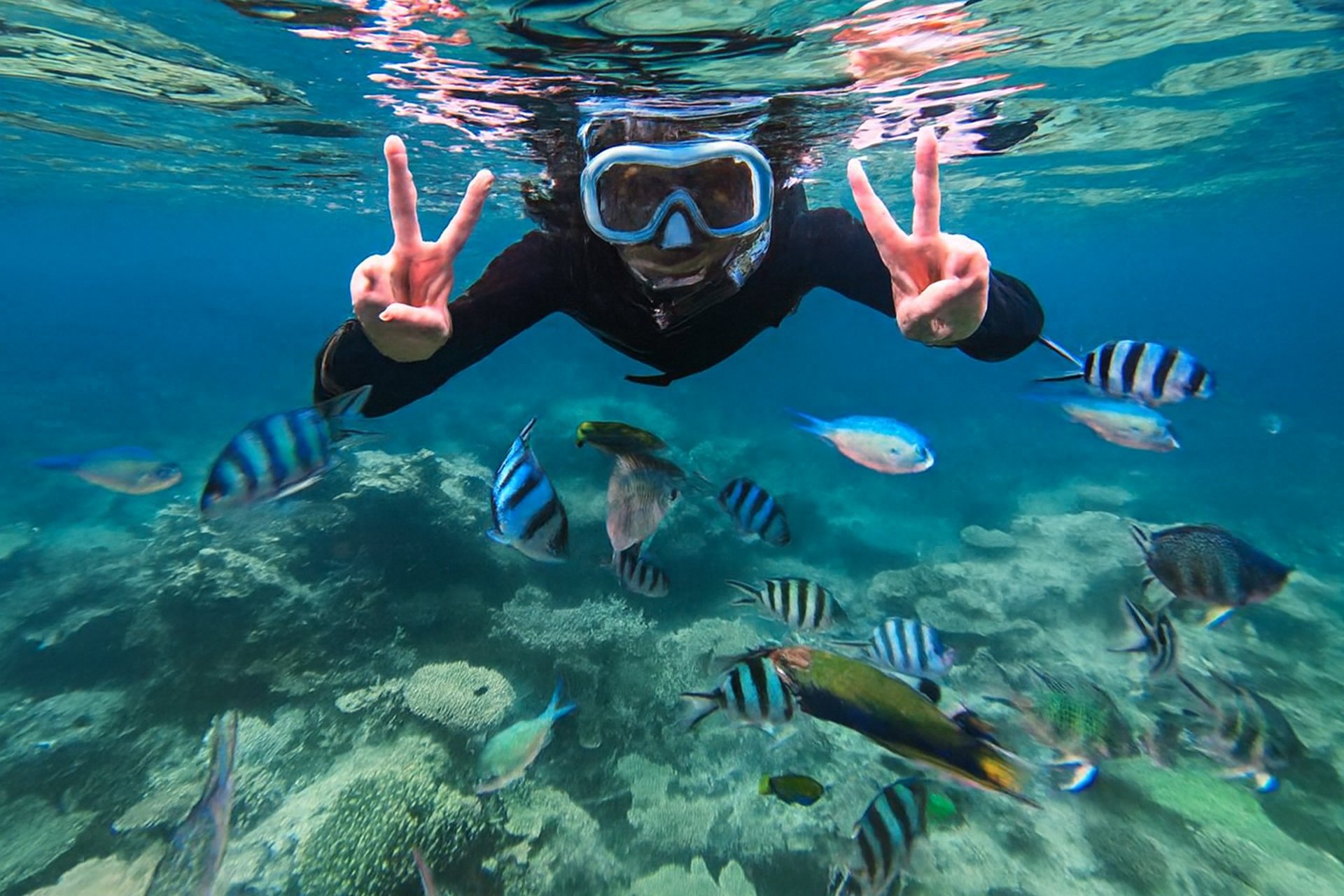 a person under water with a lot of fish