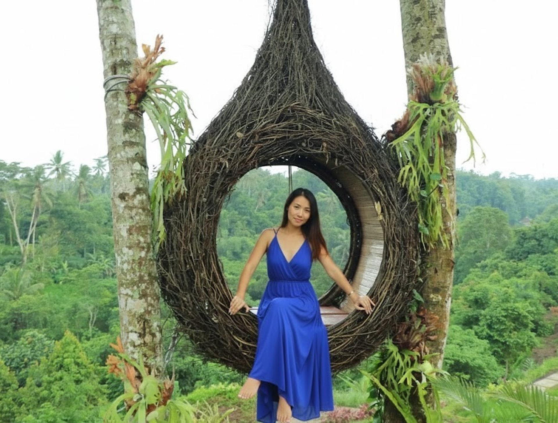 a red scarf hanging from a palm tree