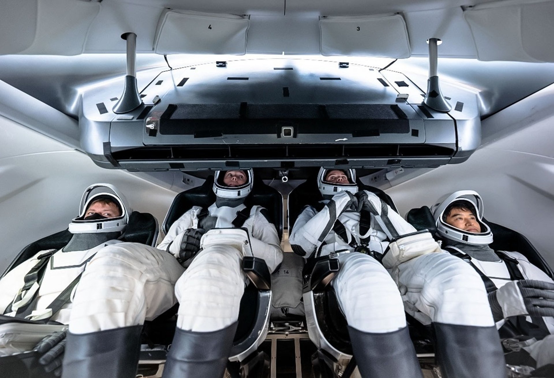 NASA's SpaceX Crew-10