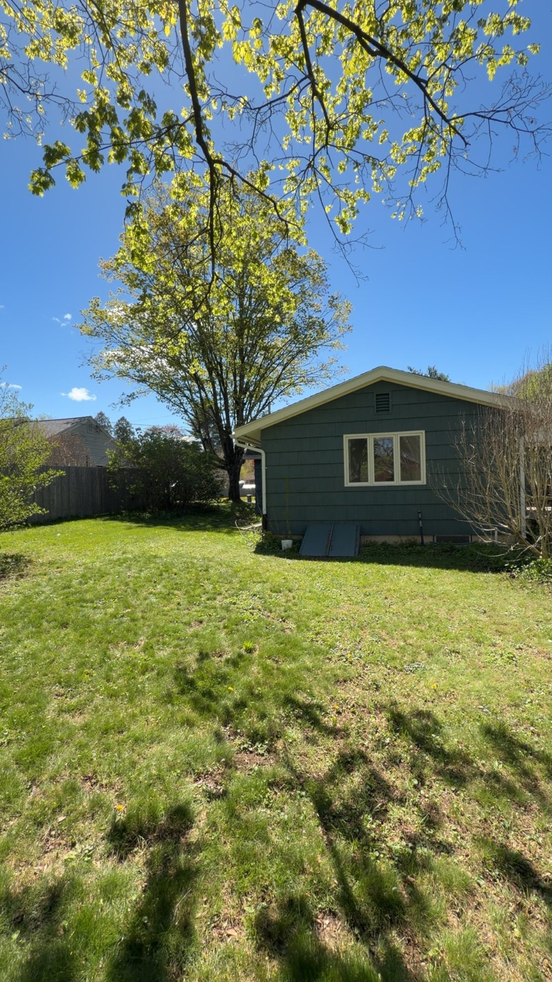 Mouse waste cleanup and attic junk removal in Easthampton MA