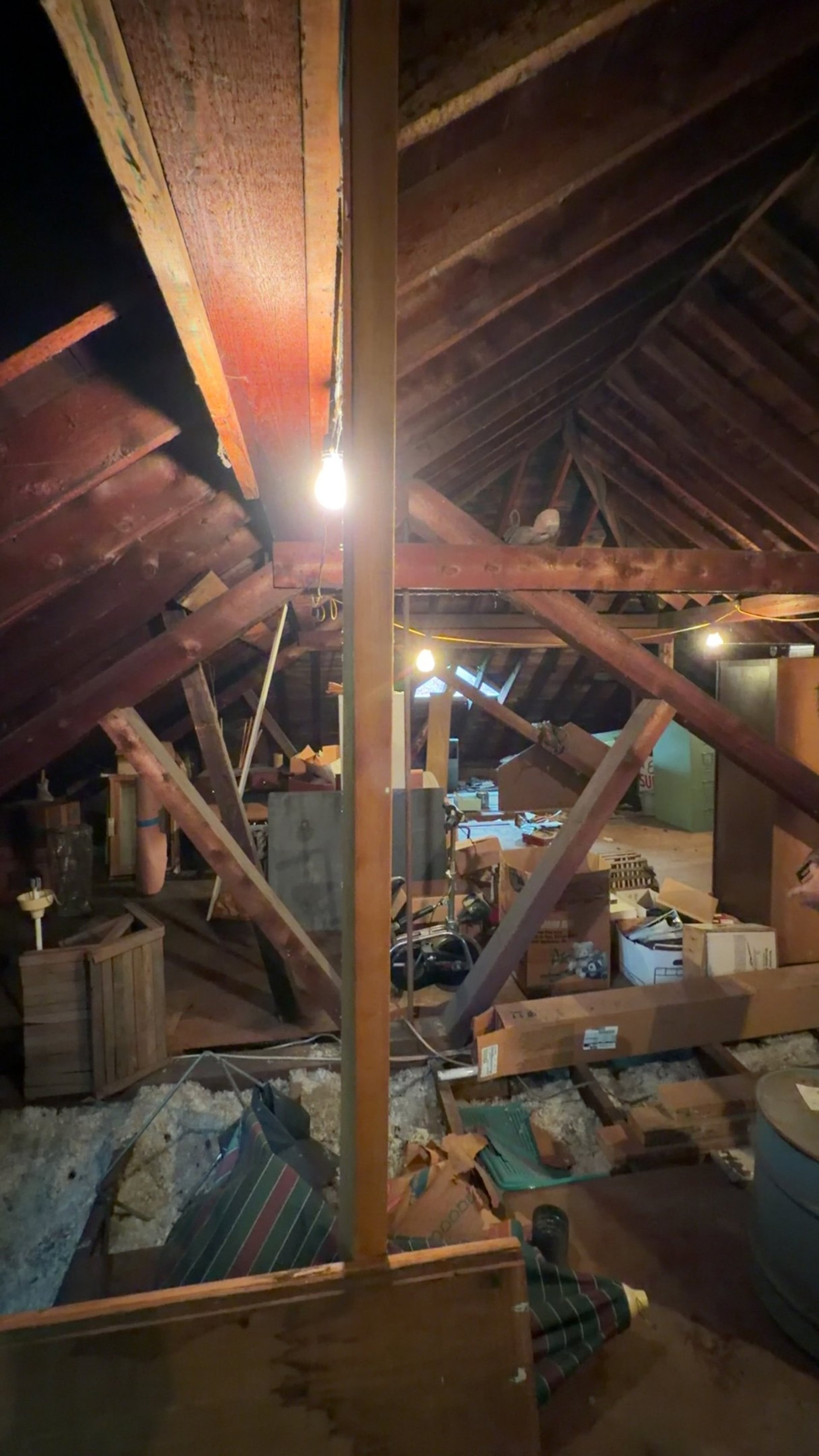Garage rodent cleanup and contaminated debris removal in Hadley MA