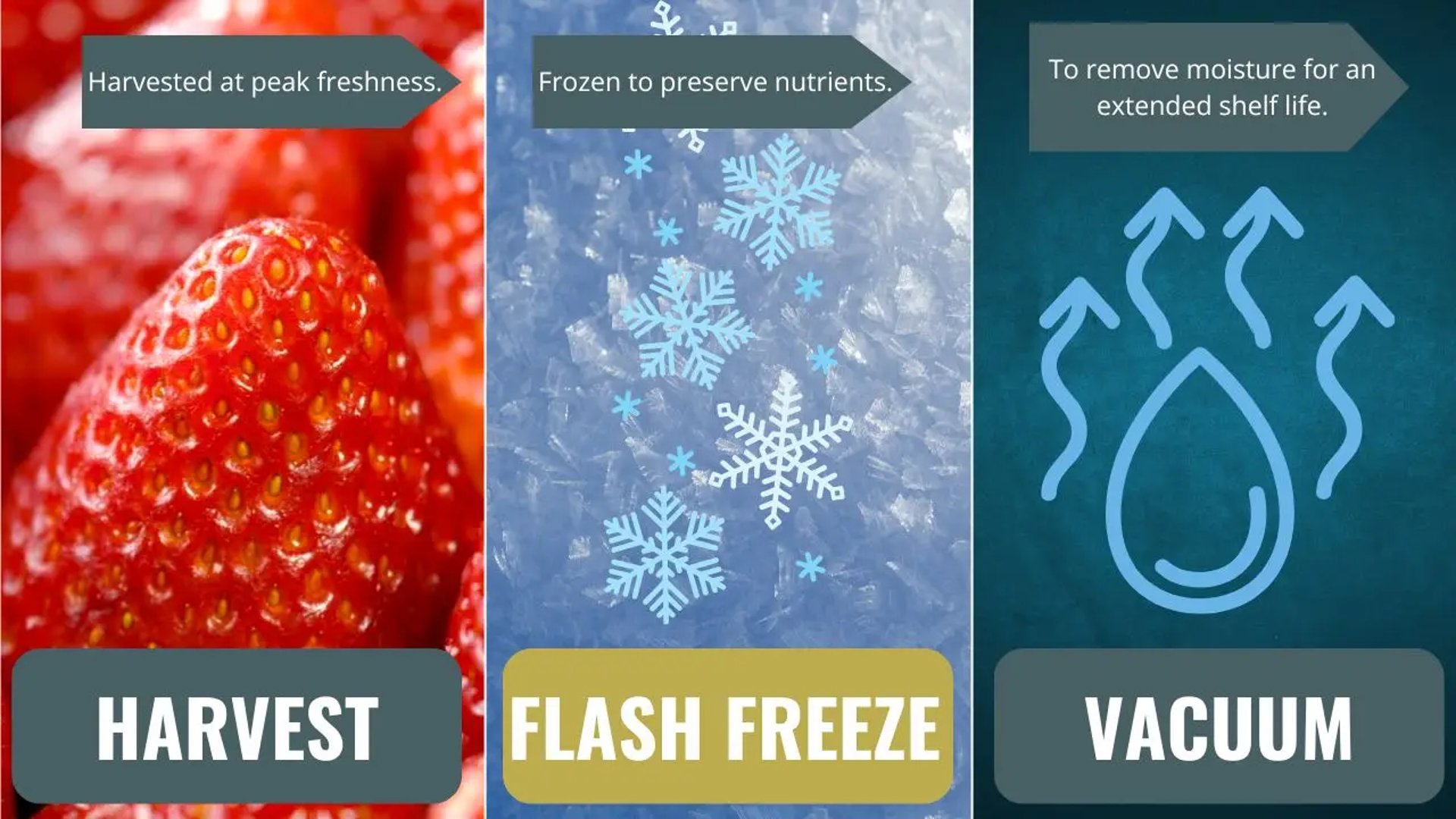 three-steps-freeze-dried-food-process