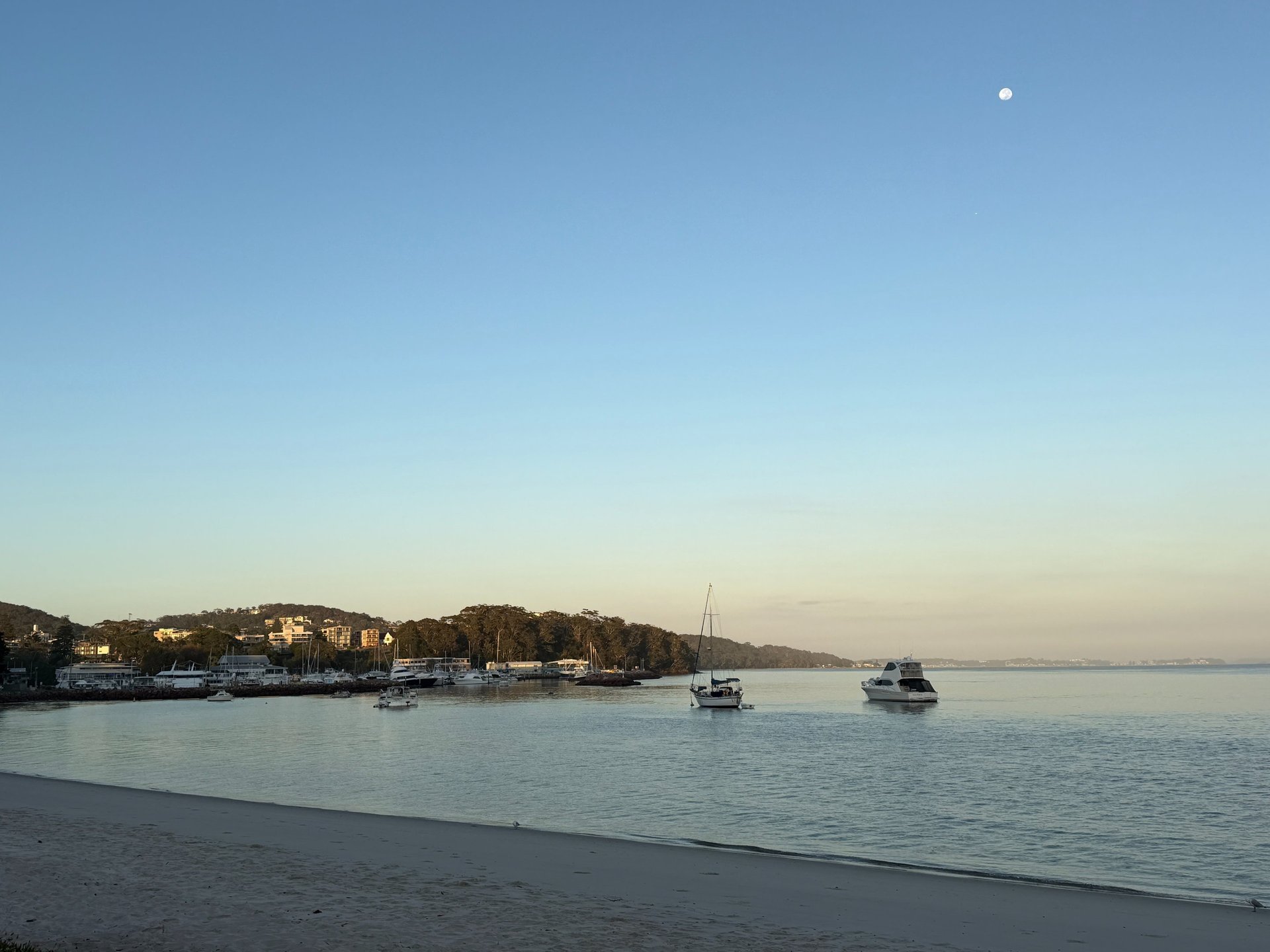 black and white bed linen