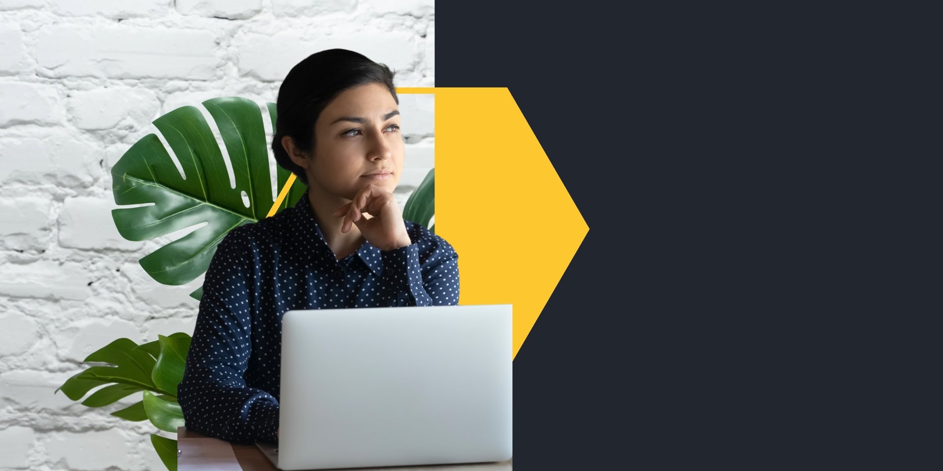 SEO backlink strategy