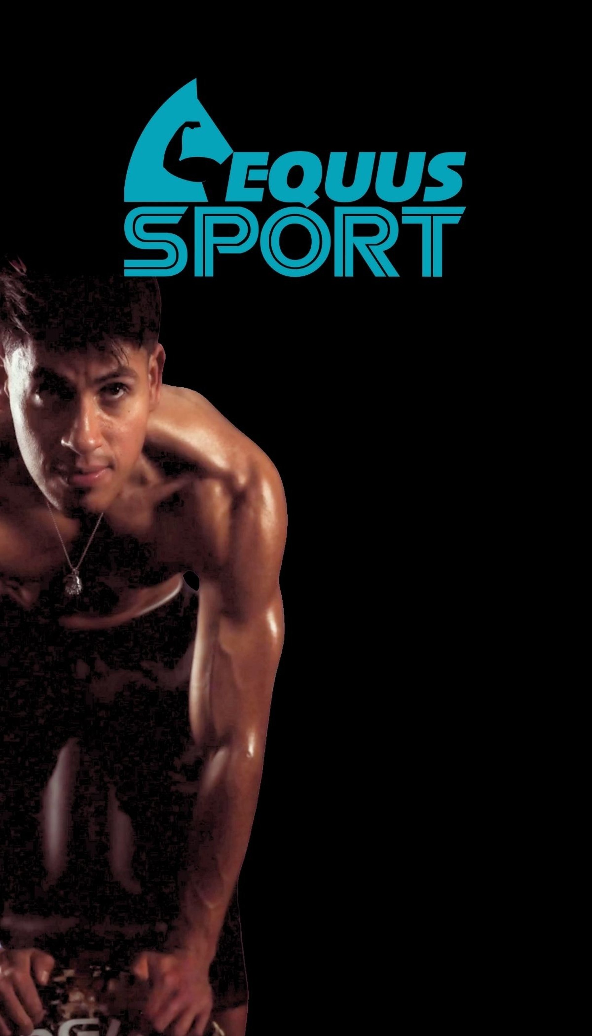 black and brown leather padded tub sofa