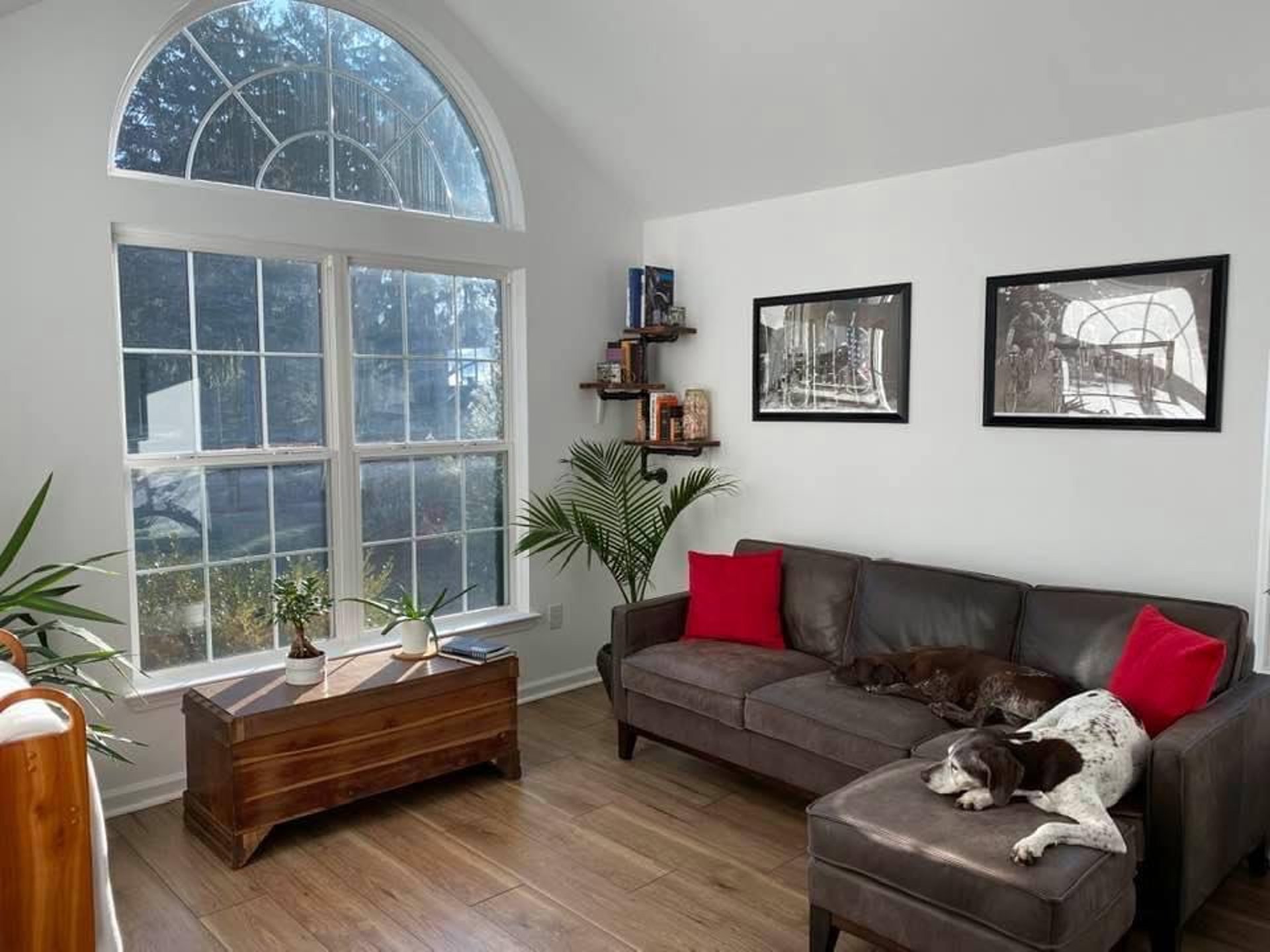 black and white bed linen