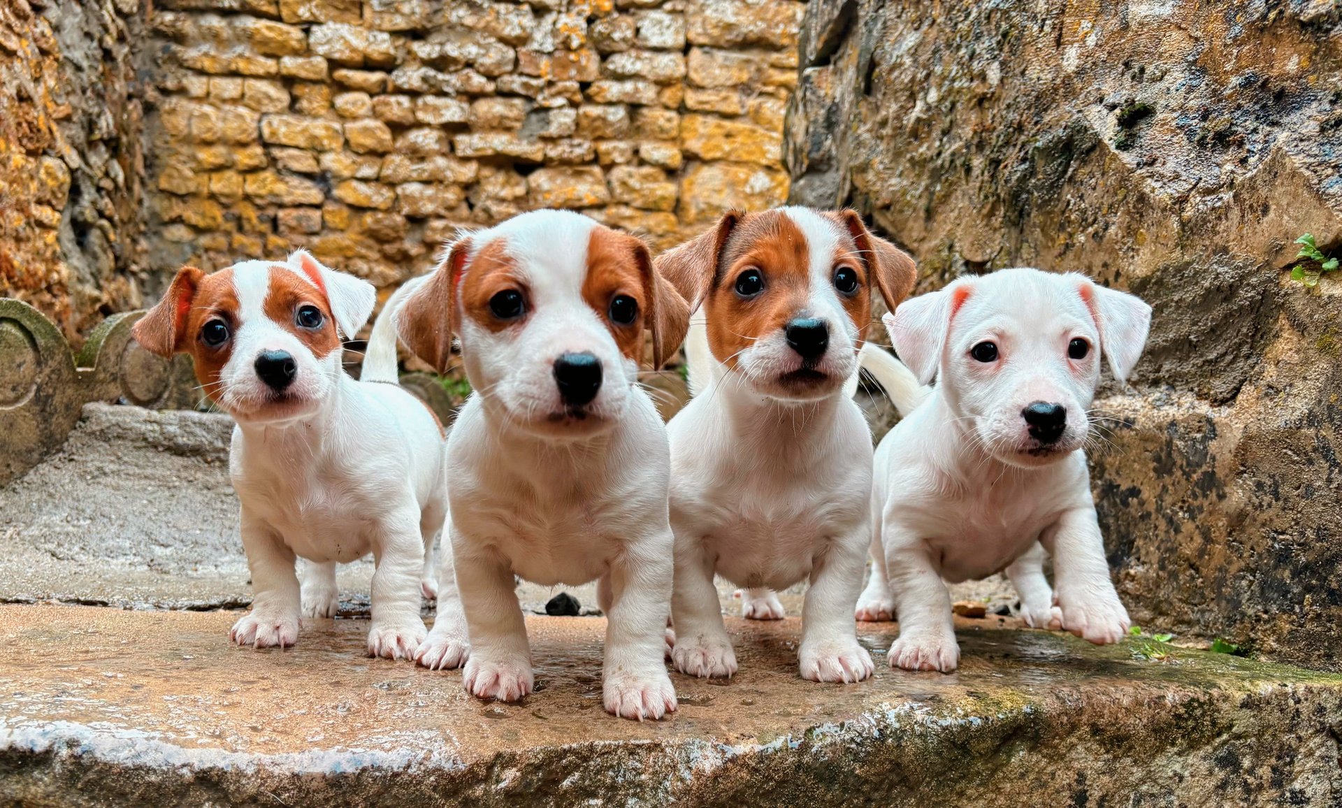 an abstract photo of a curved building with a blue sky in the background