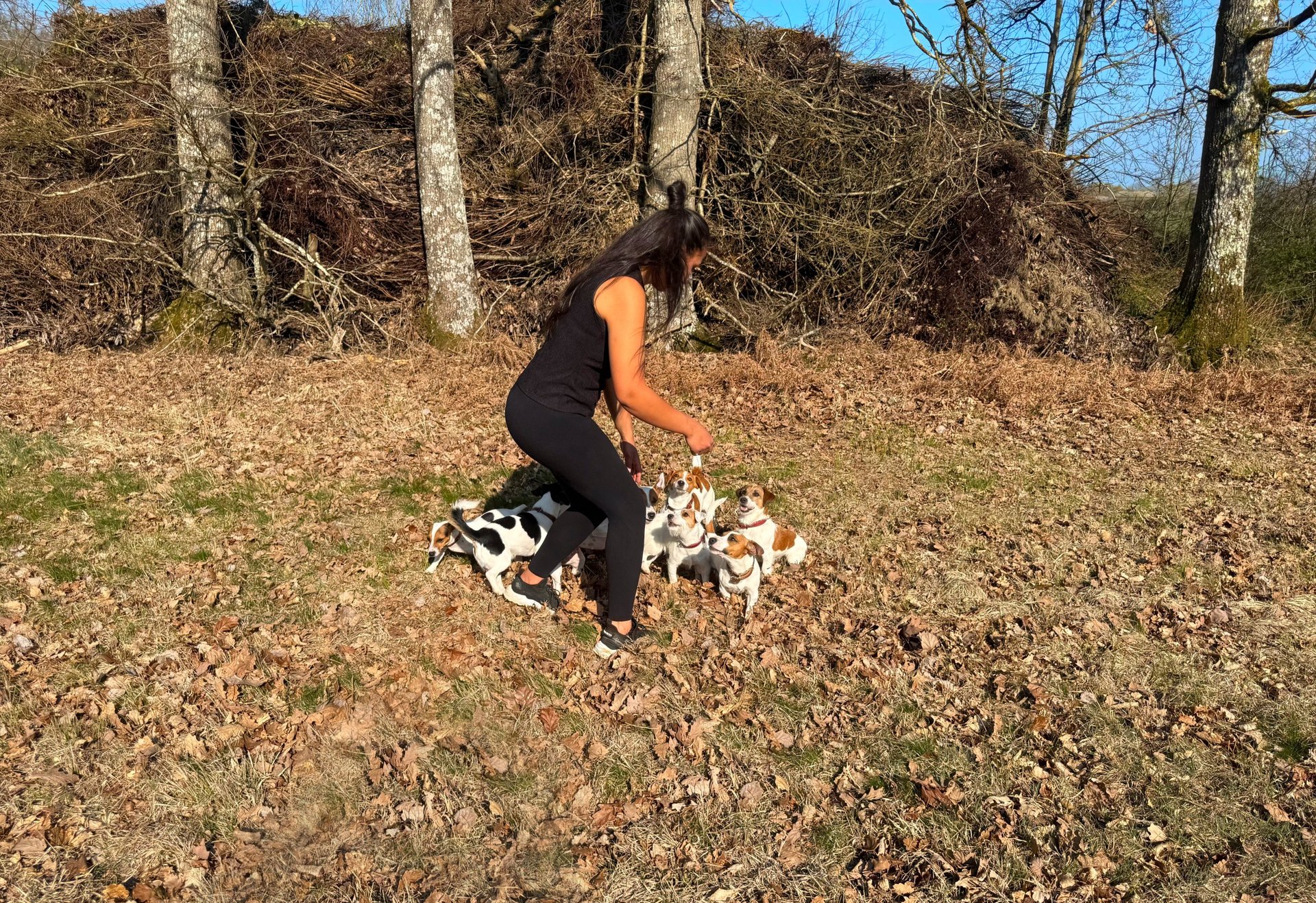an abstract photo of a curved building with a blue sky in the background