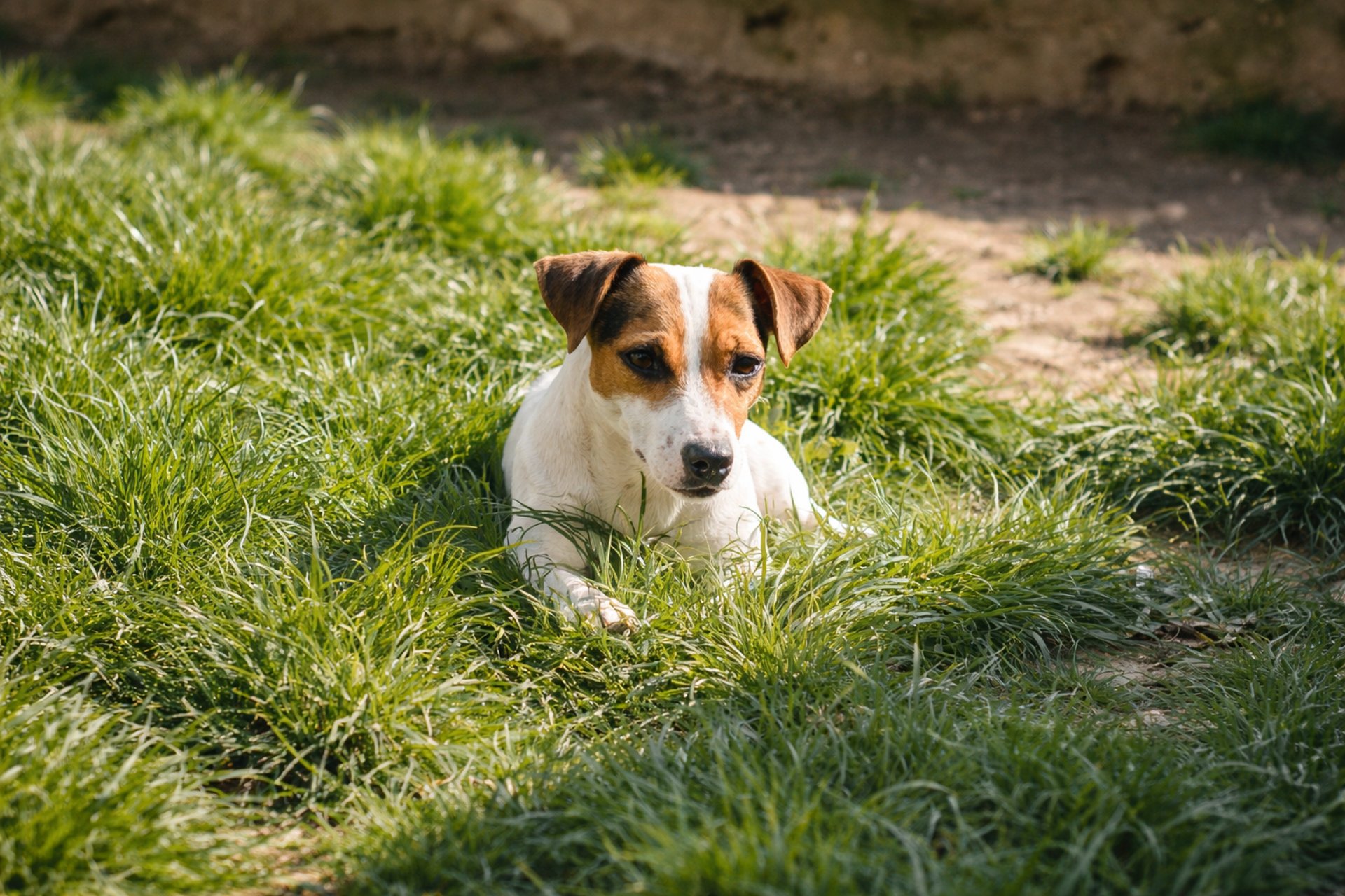 an abstract photo of a curved building with a blue sky in the background