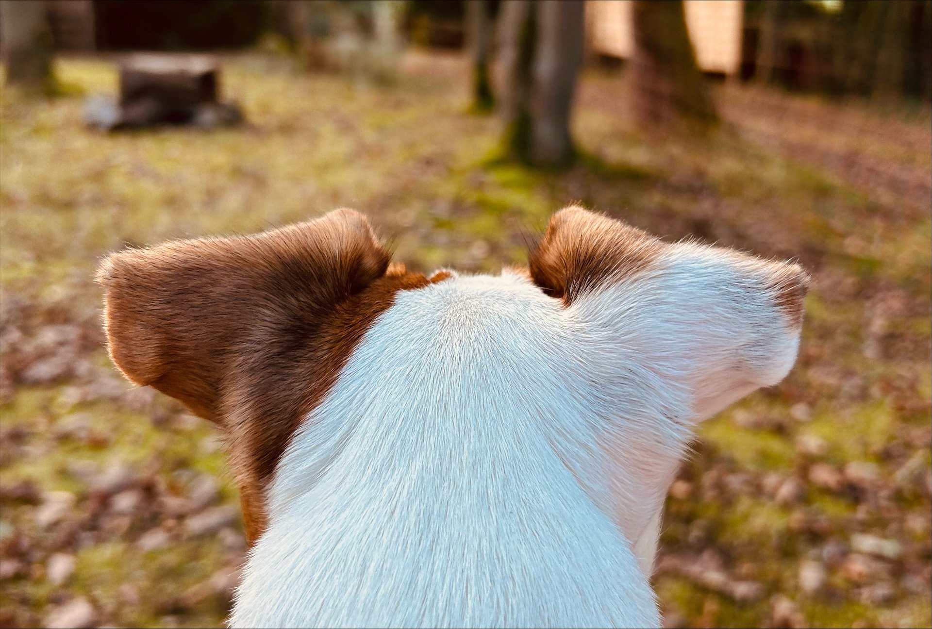 an abstract photo of a curved building with a blue sky in the background
