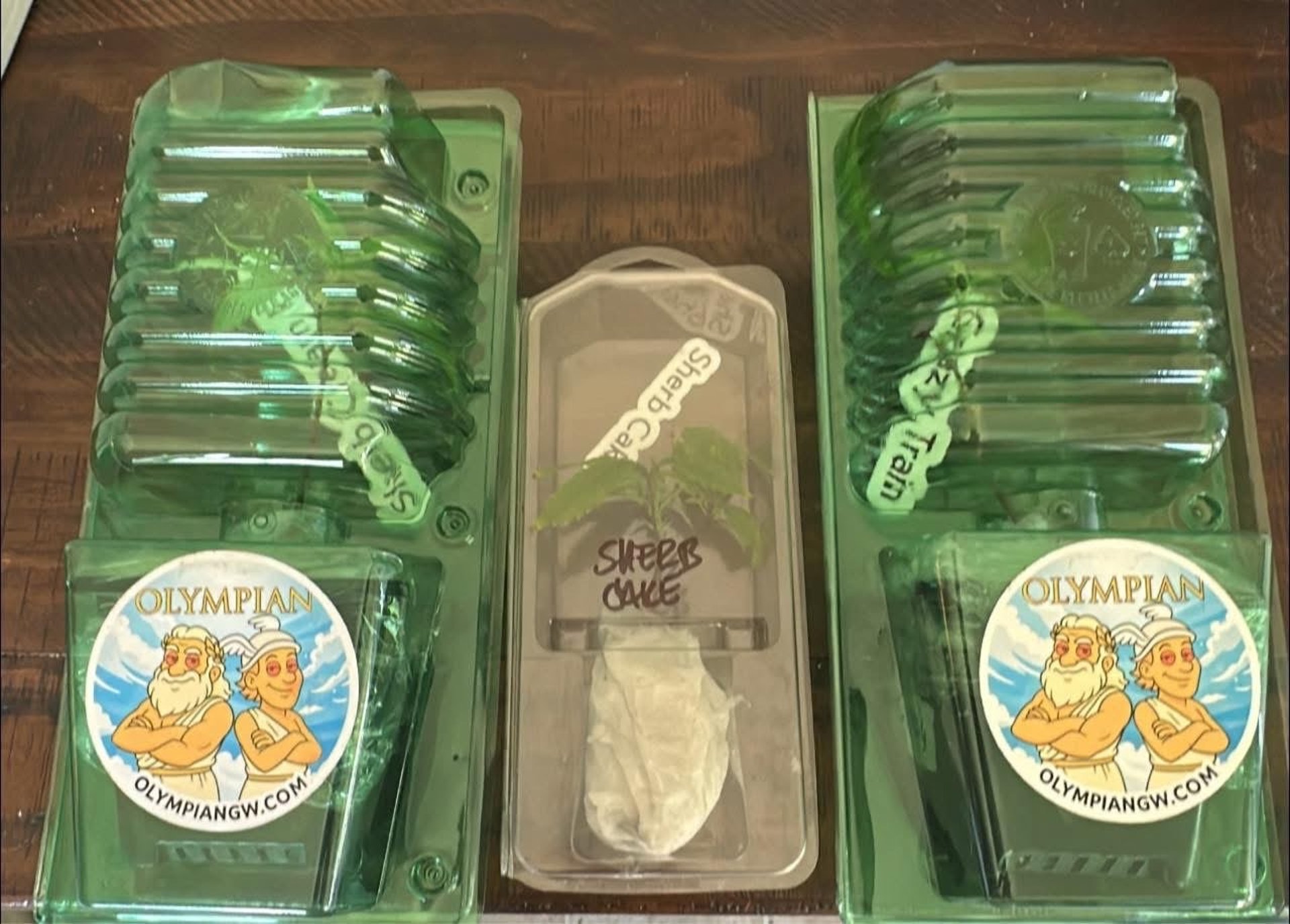 woman wearing yellow long-sleeved dress under white clouds and blue sky during daytime