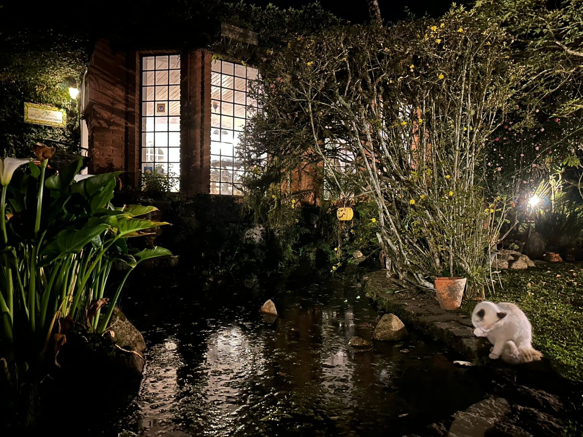 black and white bed linen