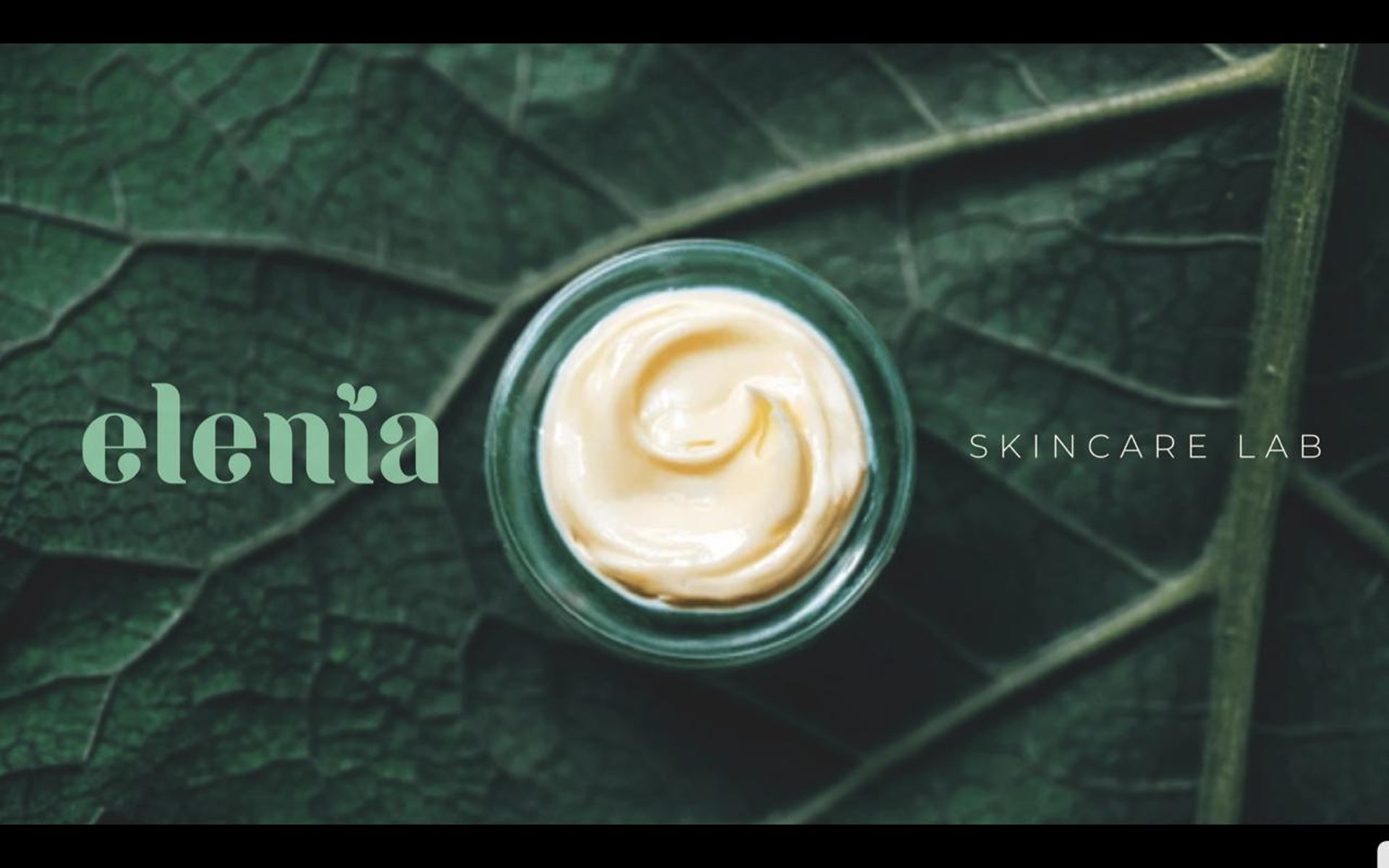 macro photography of green leaf