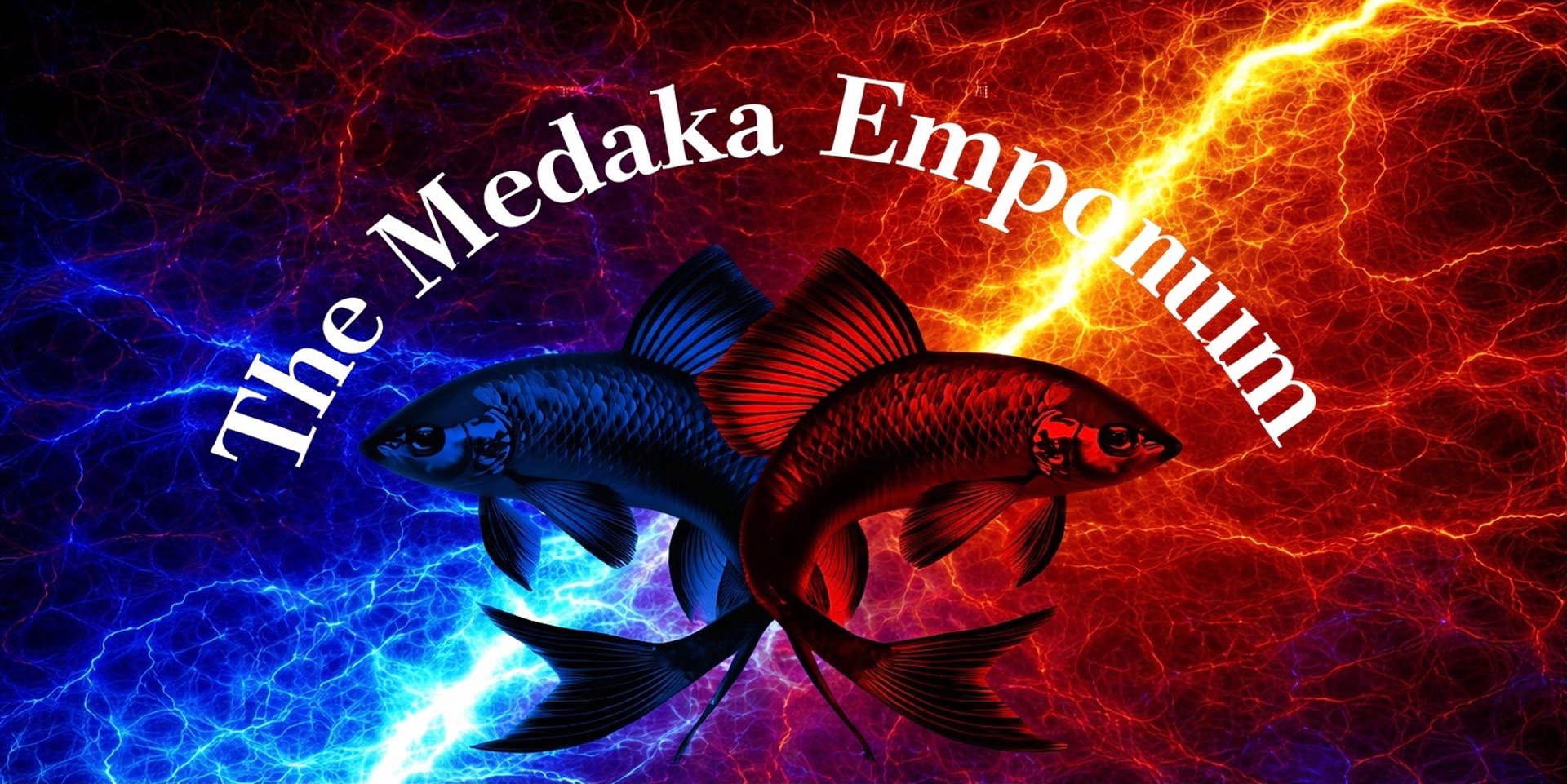 mountain range under blue sky